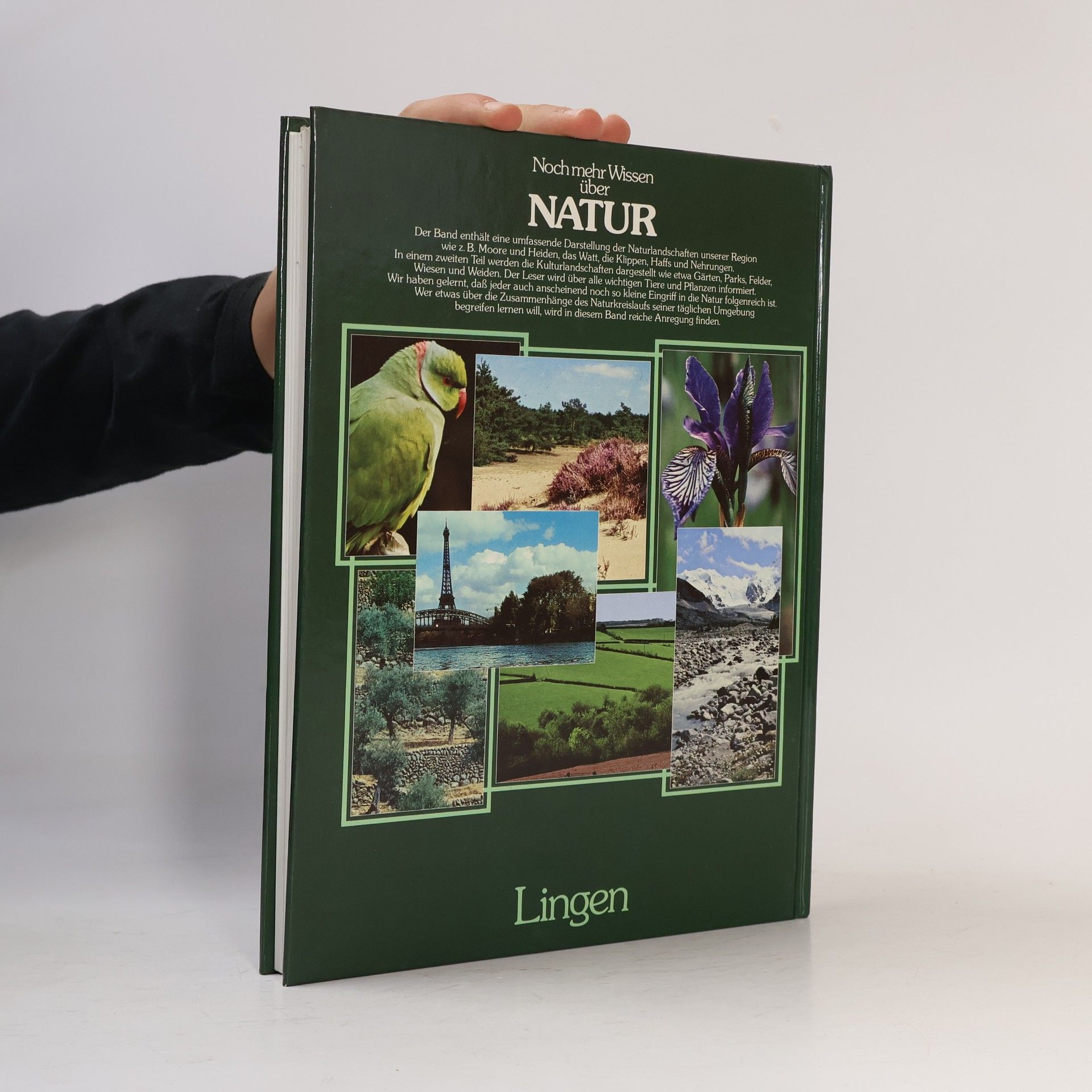 Collectif d'auteurs Noch mer Wissen über Natur