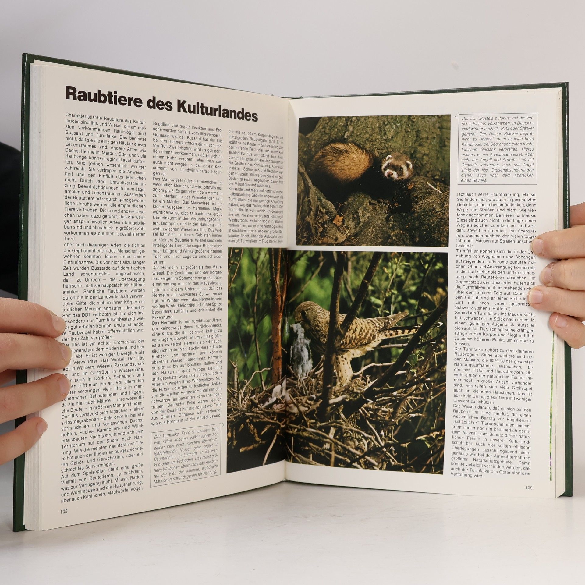 Collectif d'auteurs Noch mer Wissen über Natur