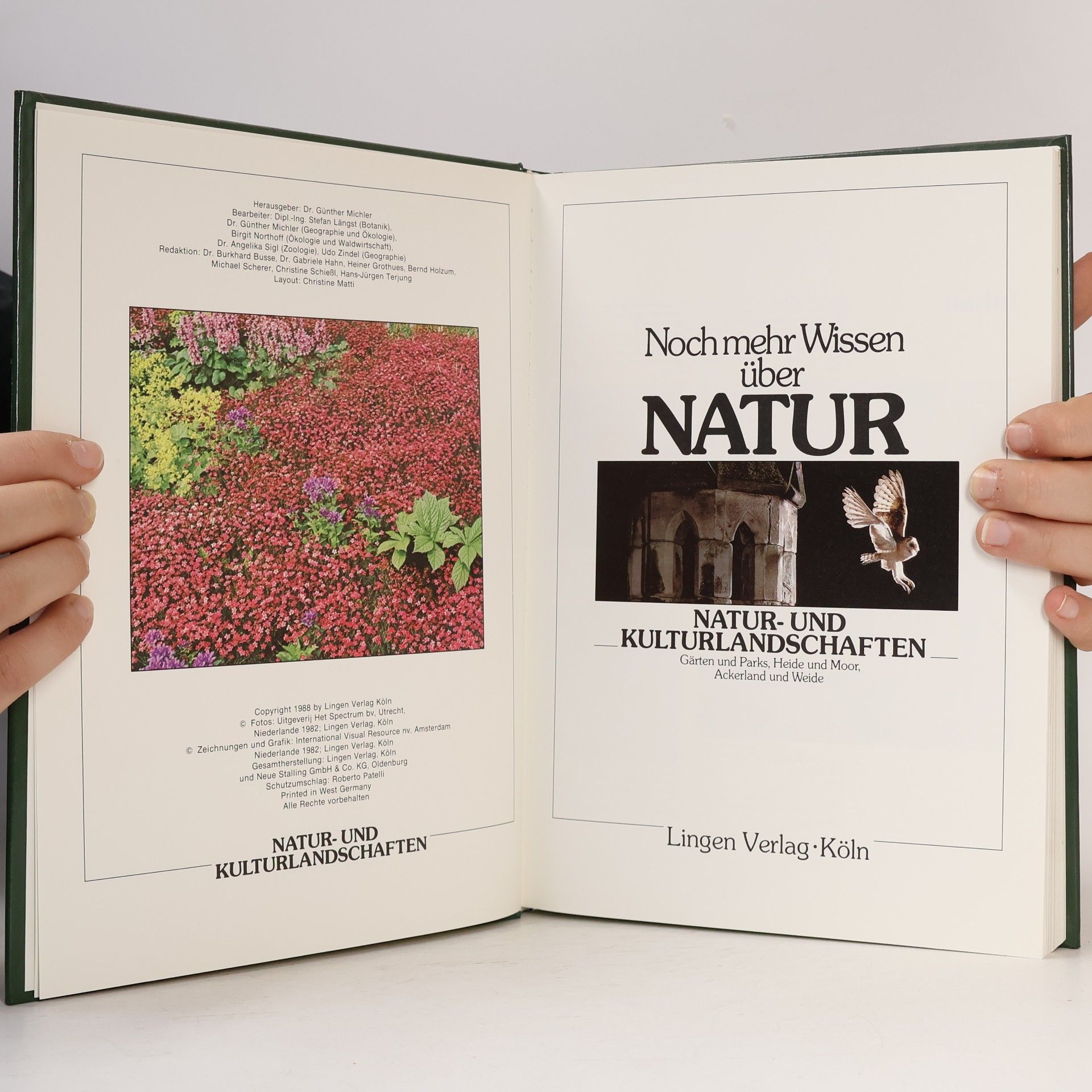 Collectif d'auteurs Noch mer Wissen über Natur