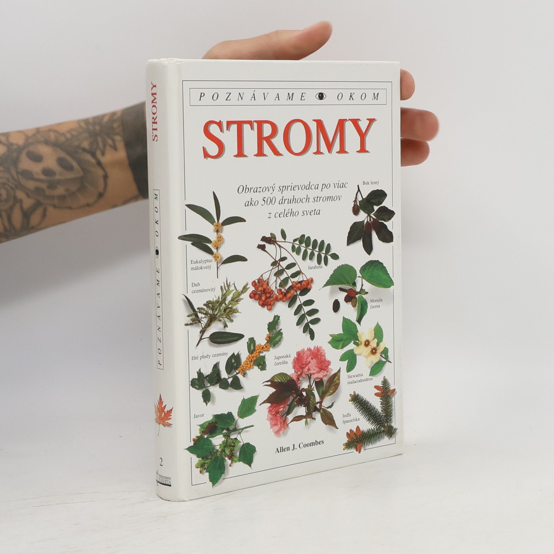 Stromy