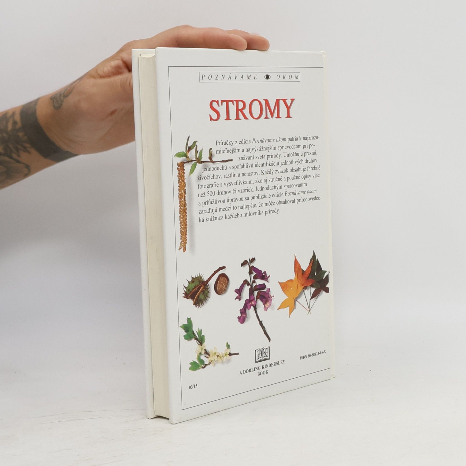 Allen J. Coombes Stromy