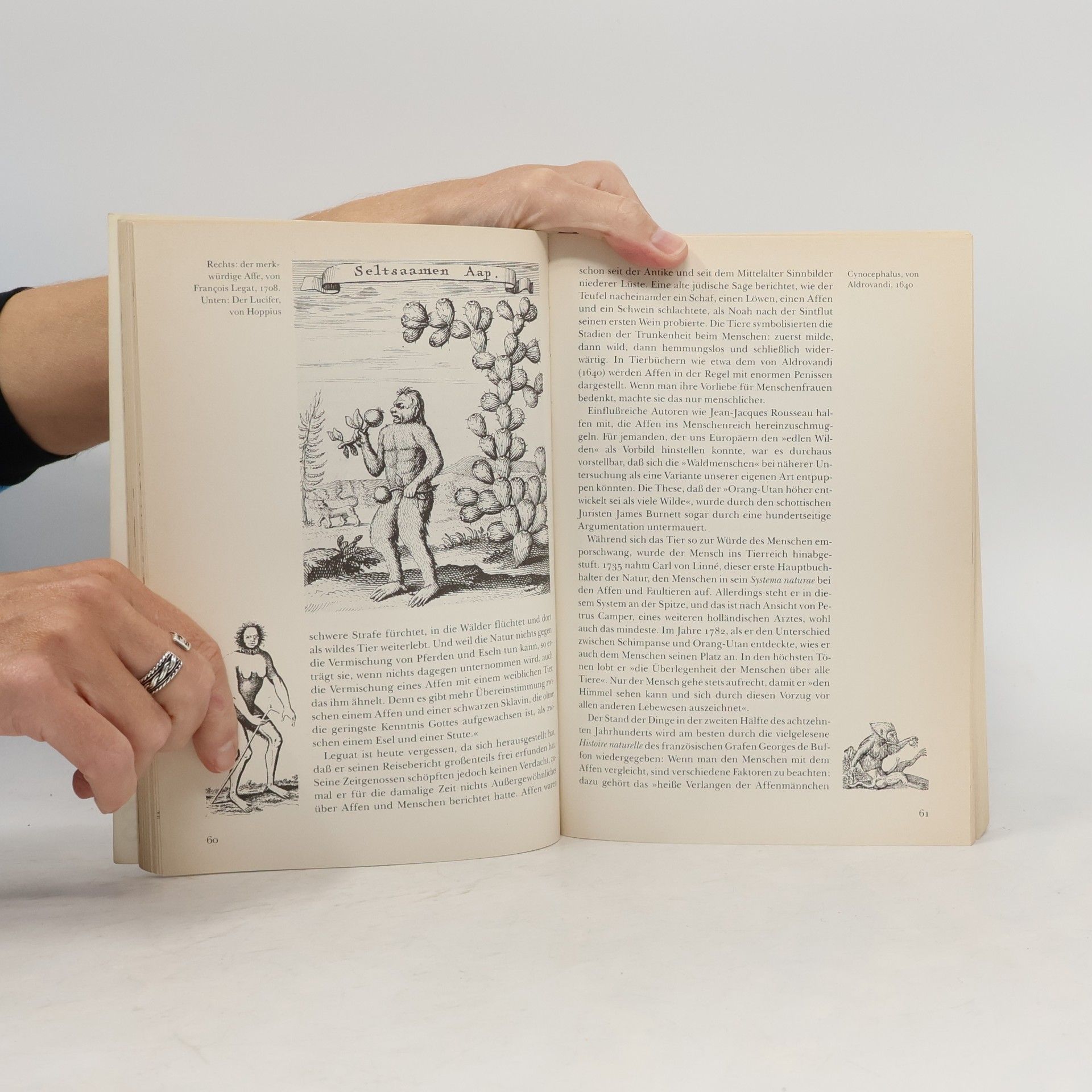 Midas Dekkers rororo Sachbuch: Geliebtes Tier