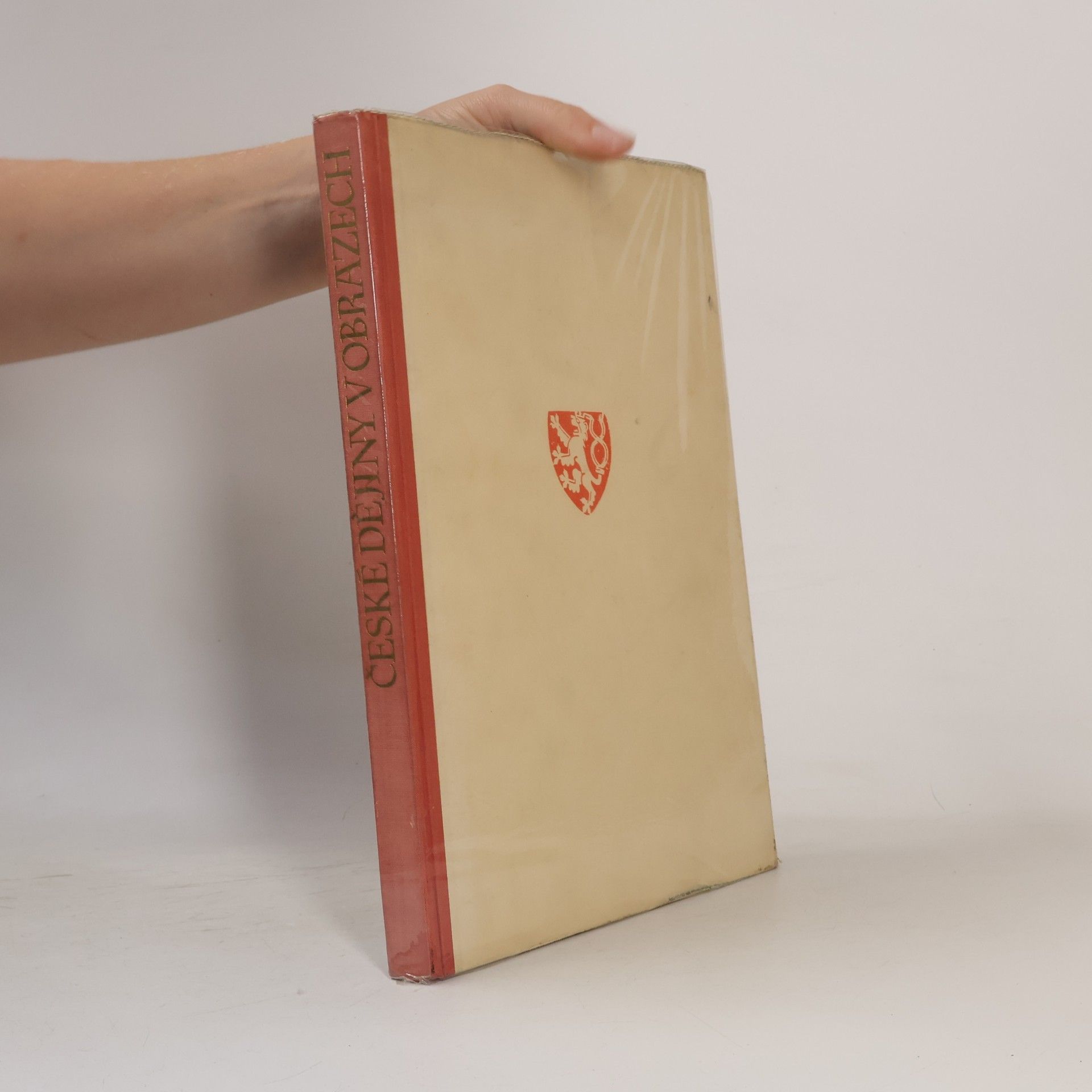 Various authors České dějiny v obrazech : vývoj historického námětu ve výtvarném umění