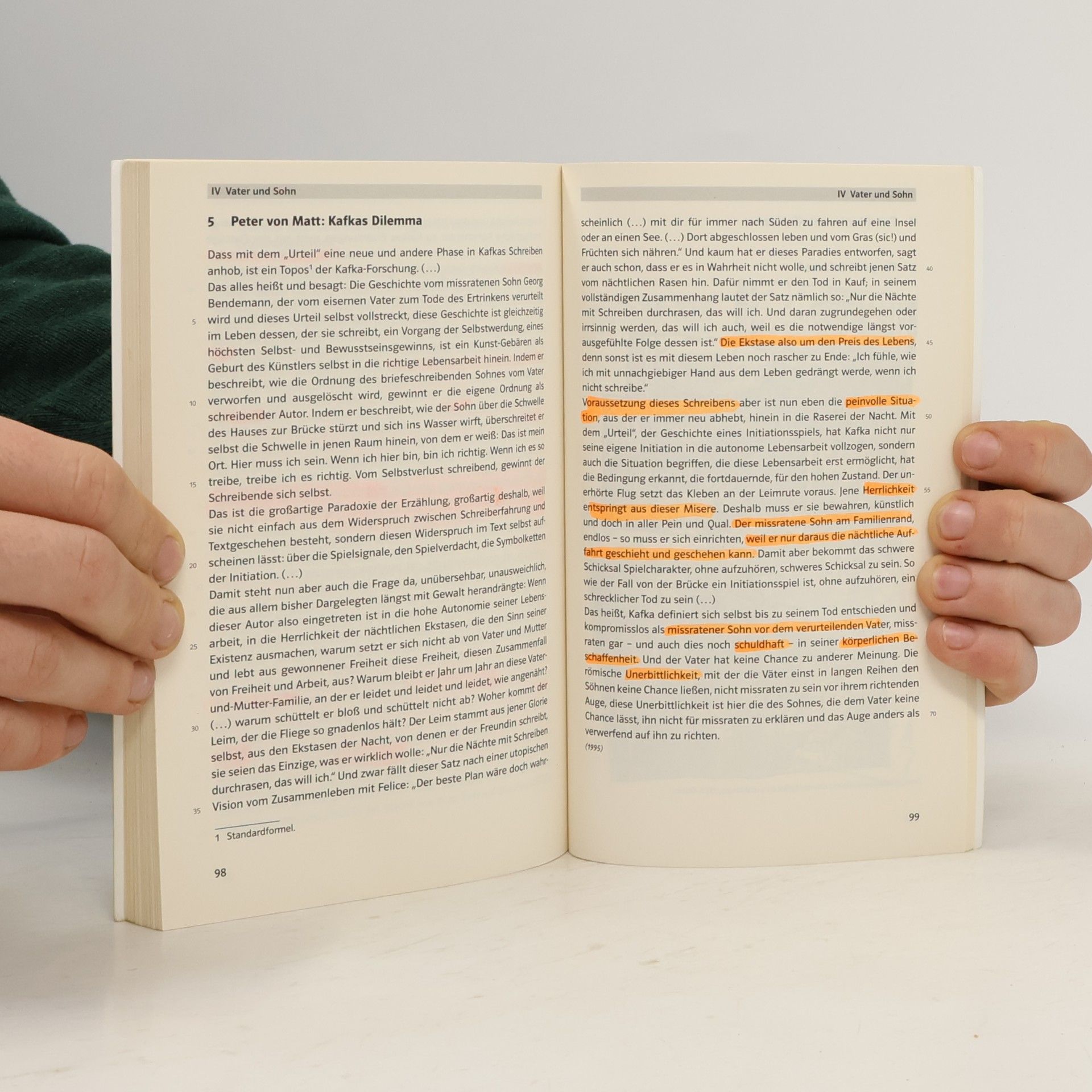 Franz Kafka Die Verwandlung. Erstes Leid