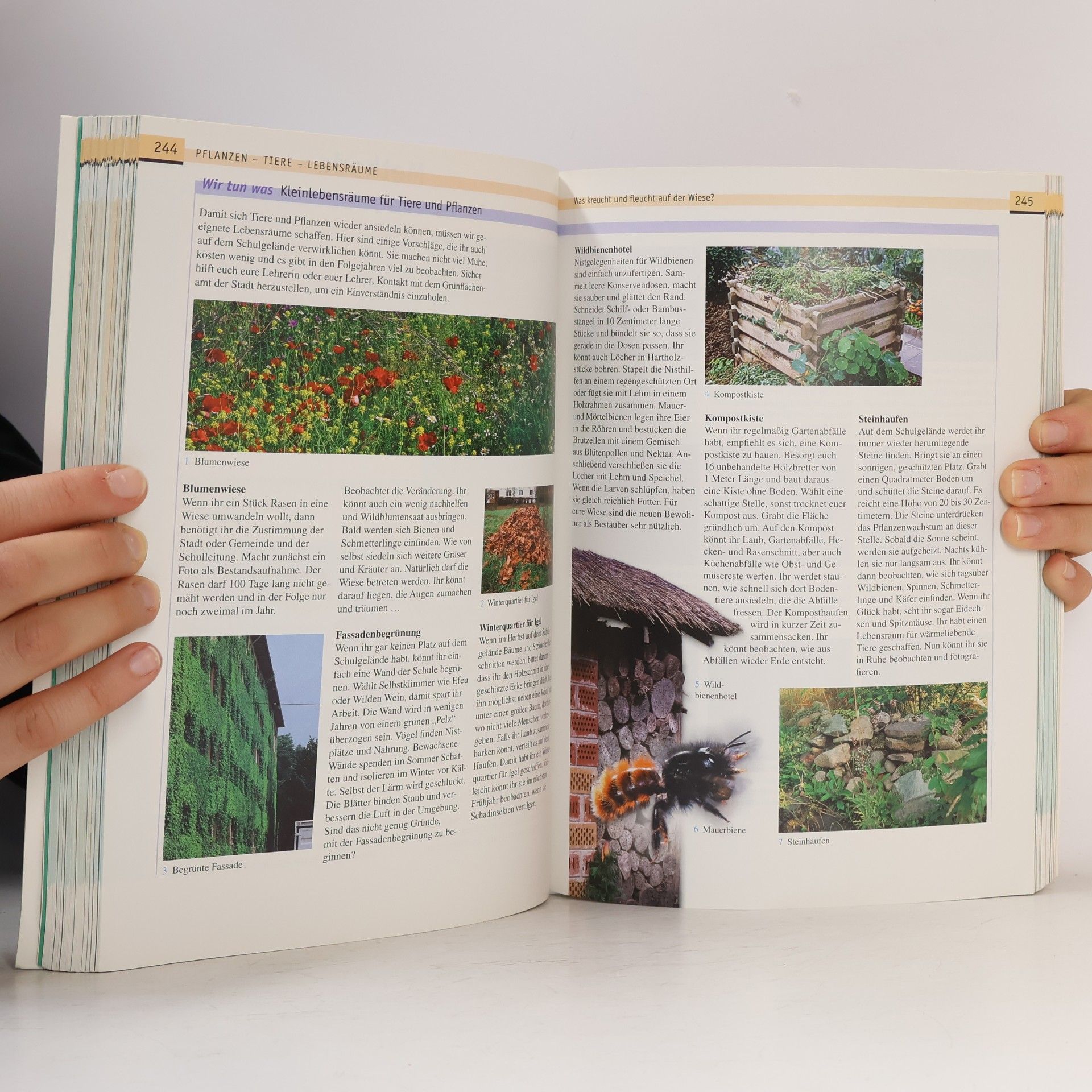 Karin Arnold Rheinland-Pfalz - 5/6: Fokus Naturwissenschaften