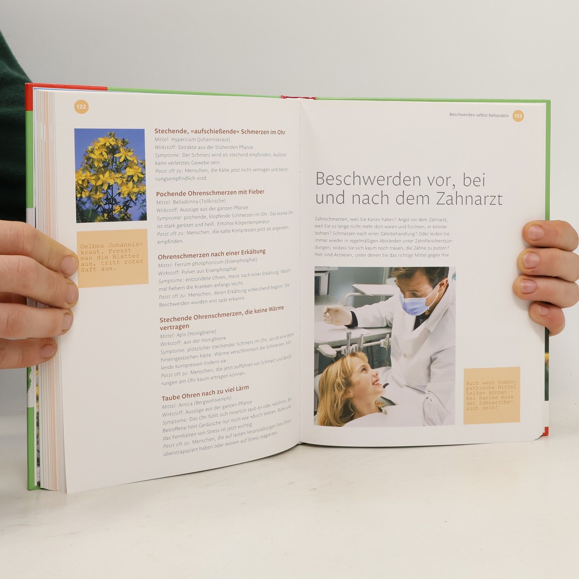 Jenifer Calvi Das BLV-Handbuch-Homöopathie