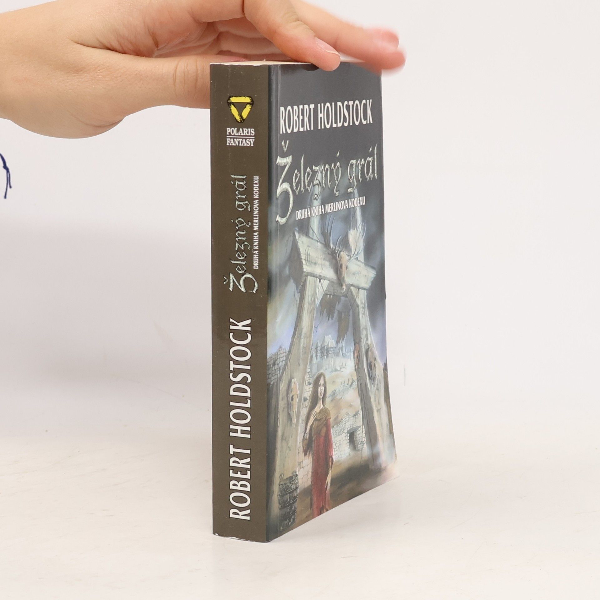 Robert Holdstock Železný grál. Druhá kniha Merlinova kodexu