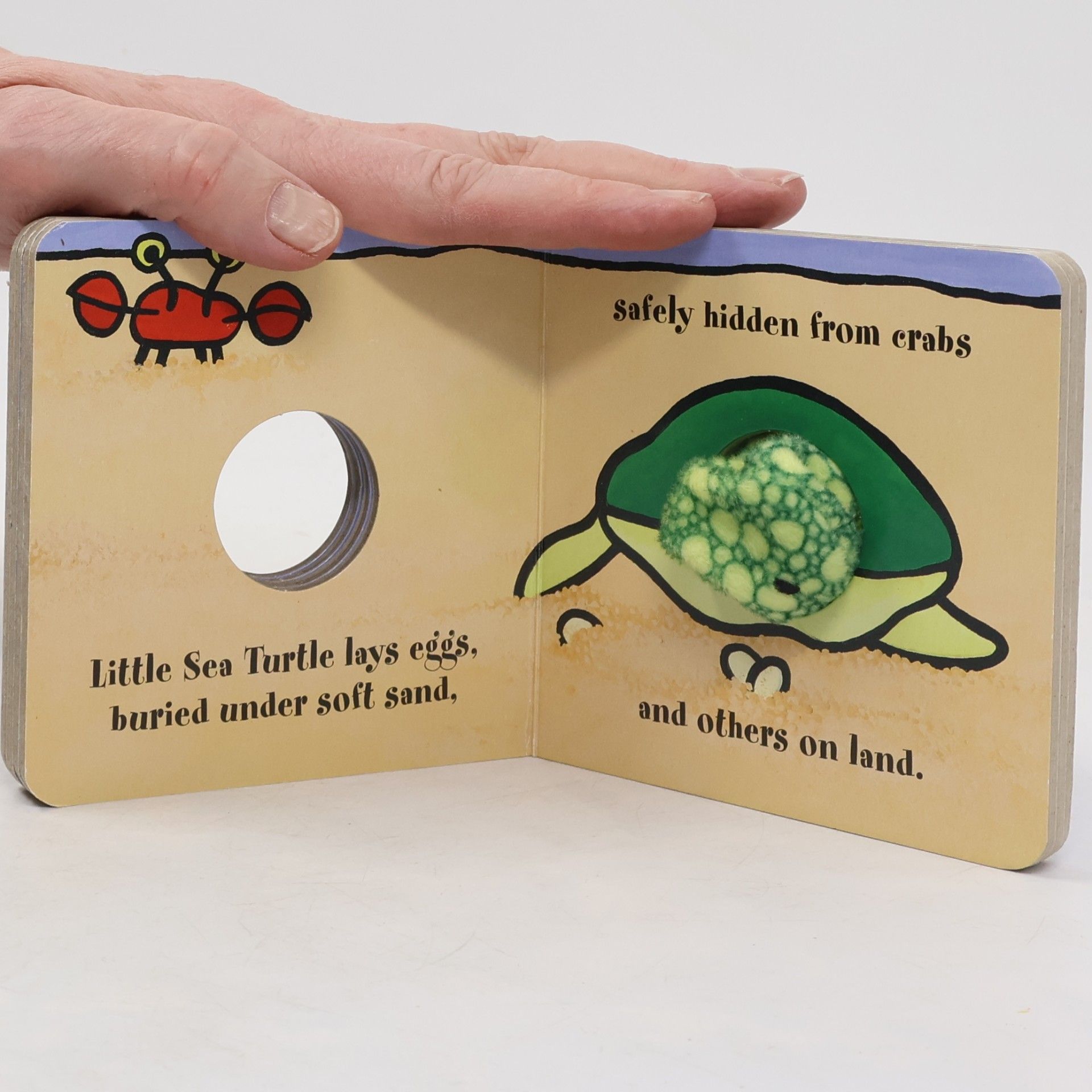 Chronicle Books Staff Little Sea Turtle