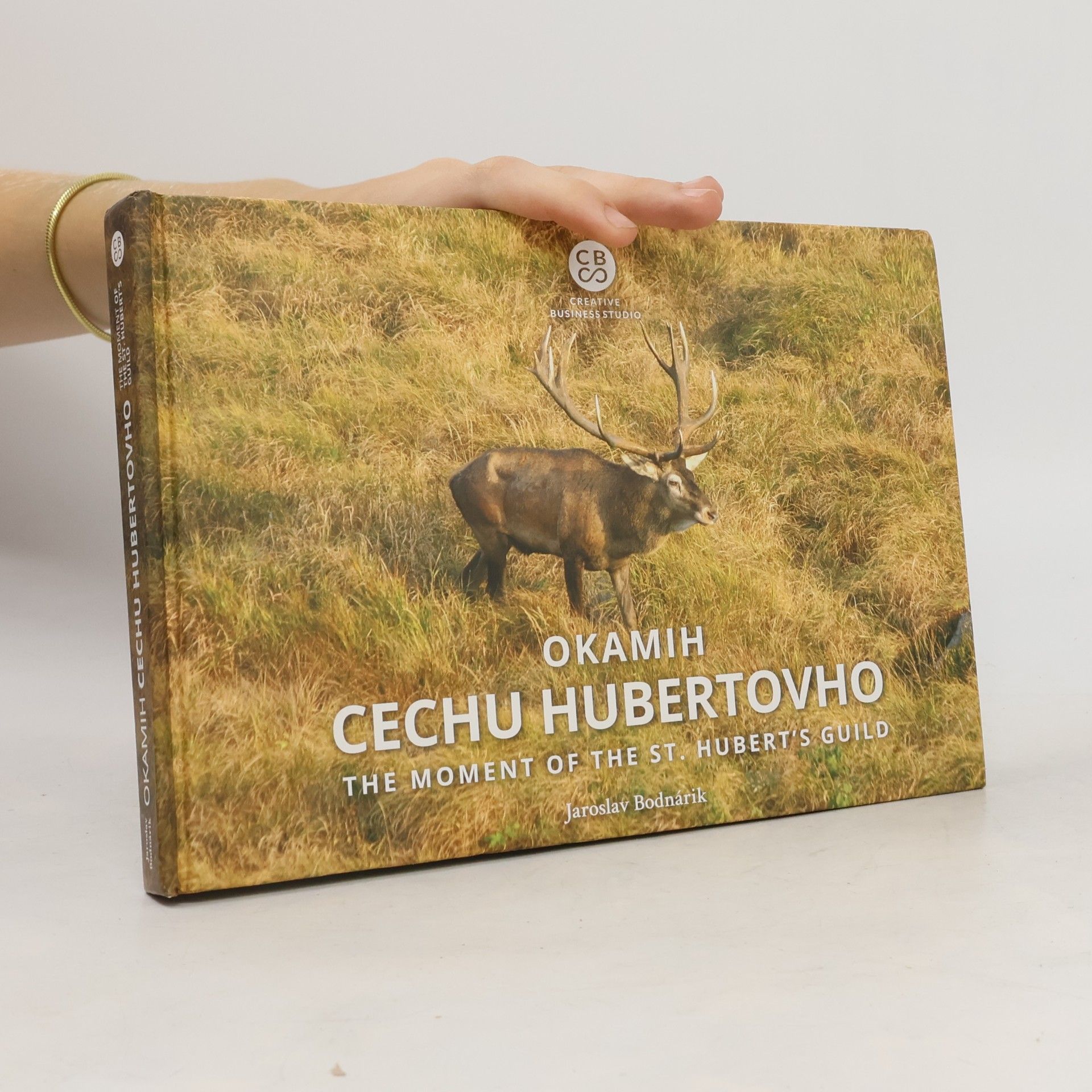 Jaroslav Bodnárik Okamih cechu Hubertovho