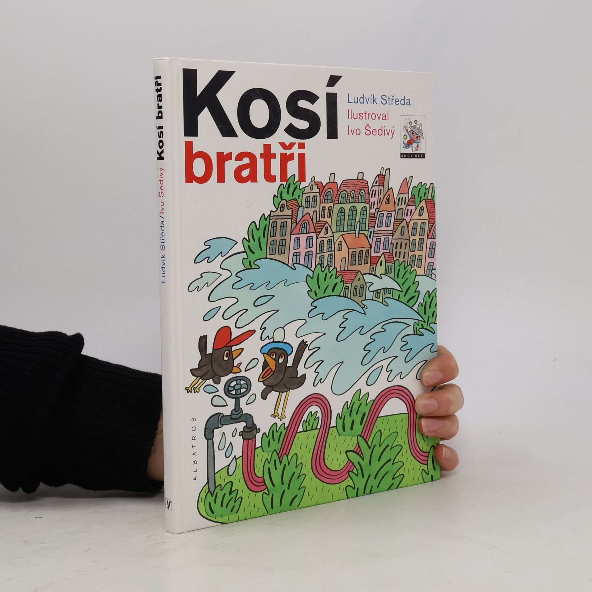 Kosí bratři