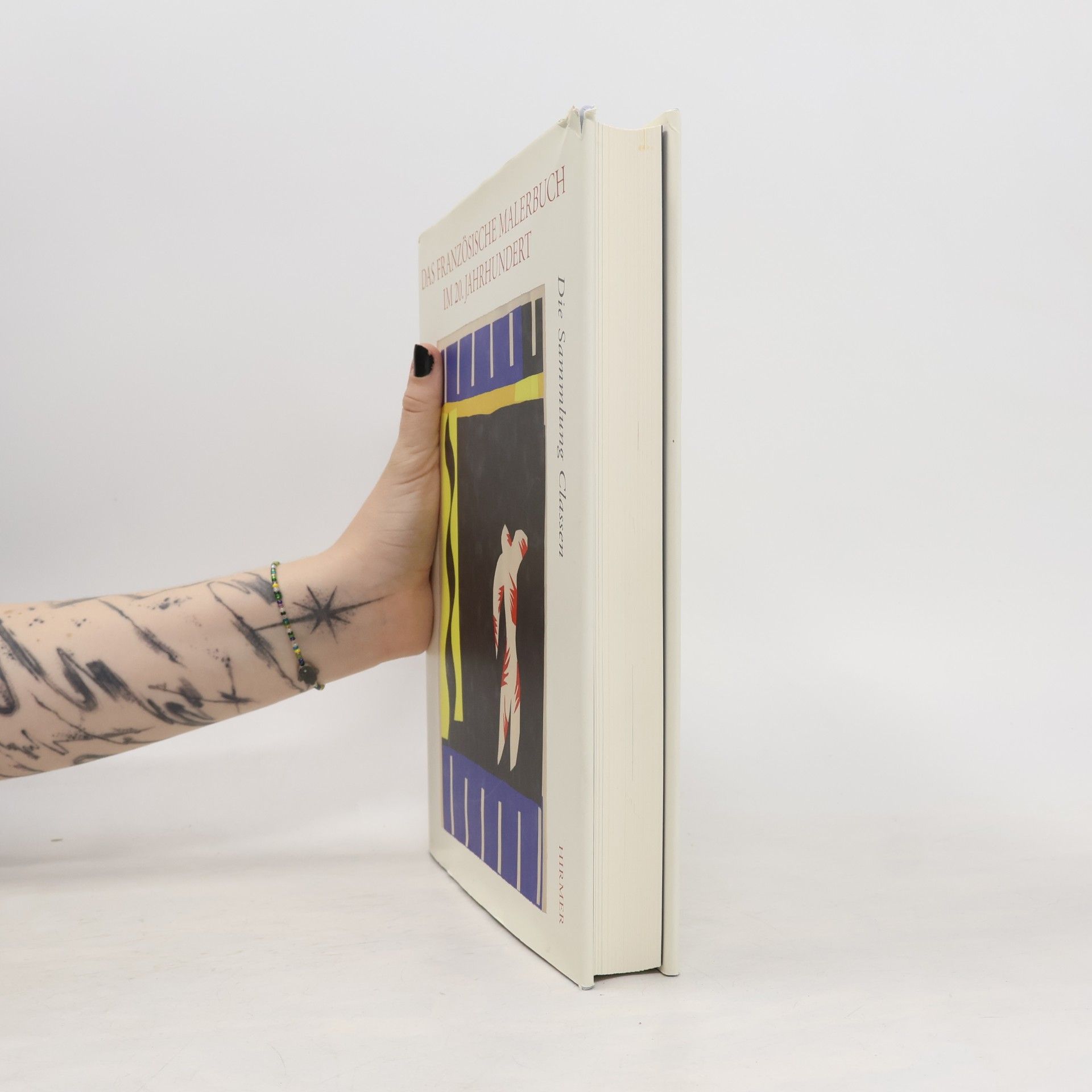 Markus Müller Das französische Malerbuch im 20. Jahrhundert