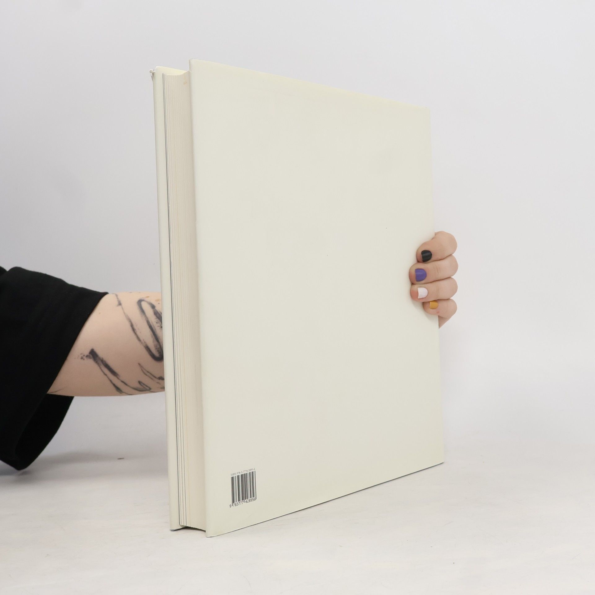 Markus Müller Das französische Malerbuch im 20. Jahrhundert