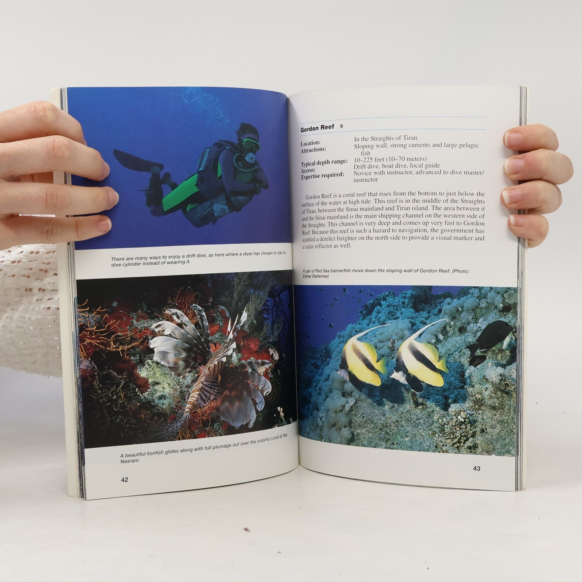John Ratterree Lonely Planet Diving and Snorkeling Guides: Diving and Snorkeling Guide to the Red Sea