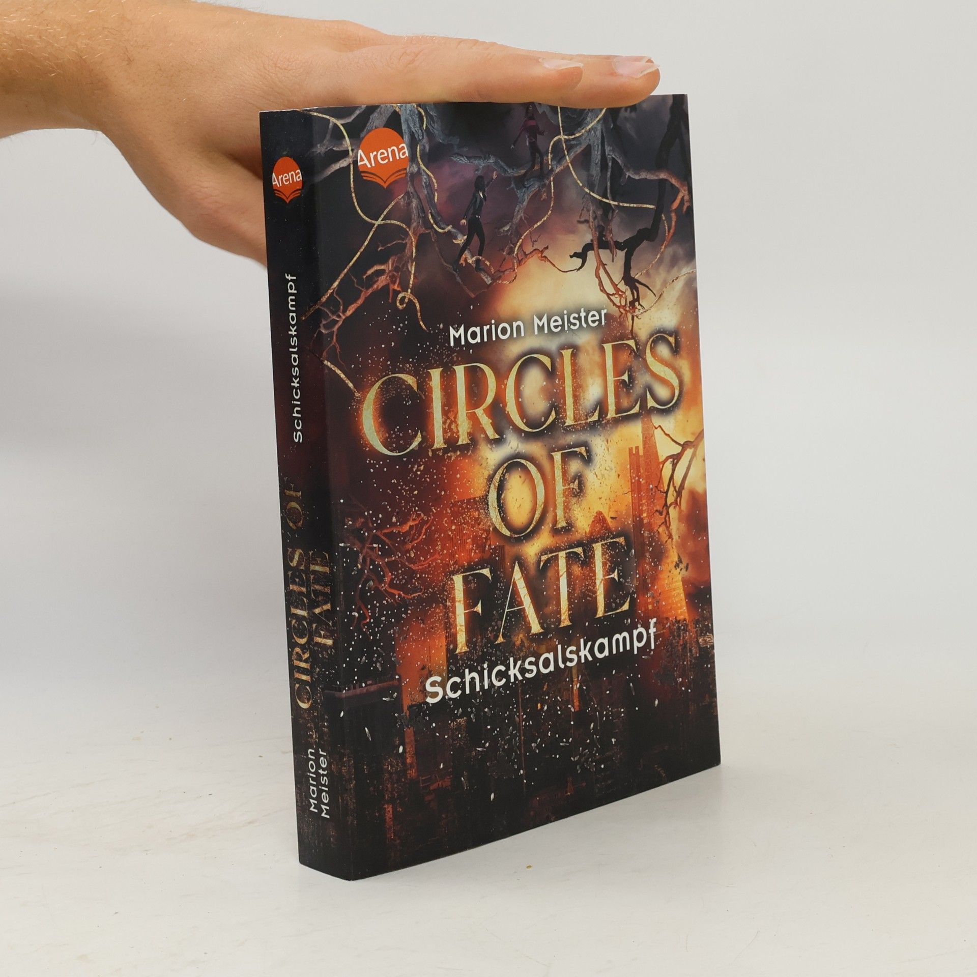 Marion Meister Circles of Fate 3. Schicksalskampf