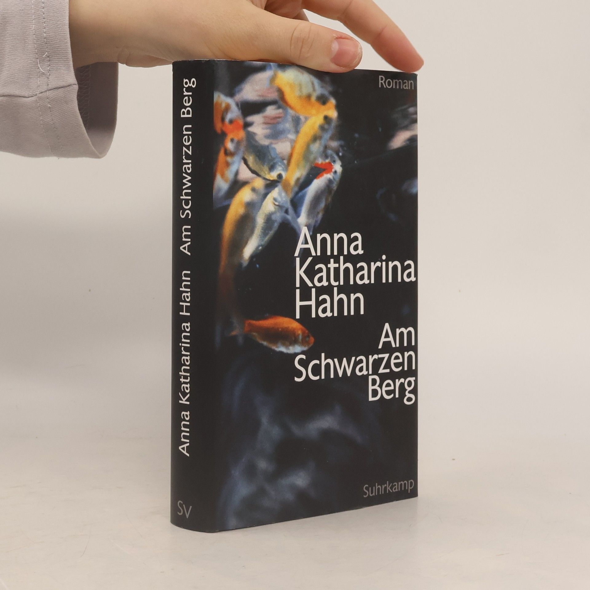 Anna Katharina Hahn Am Schwarzen Berg
