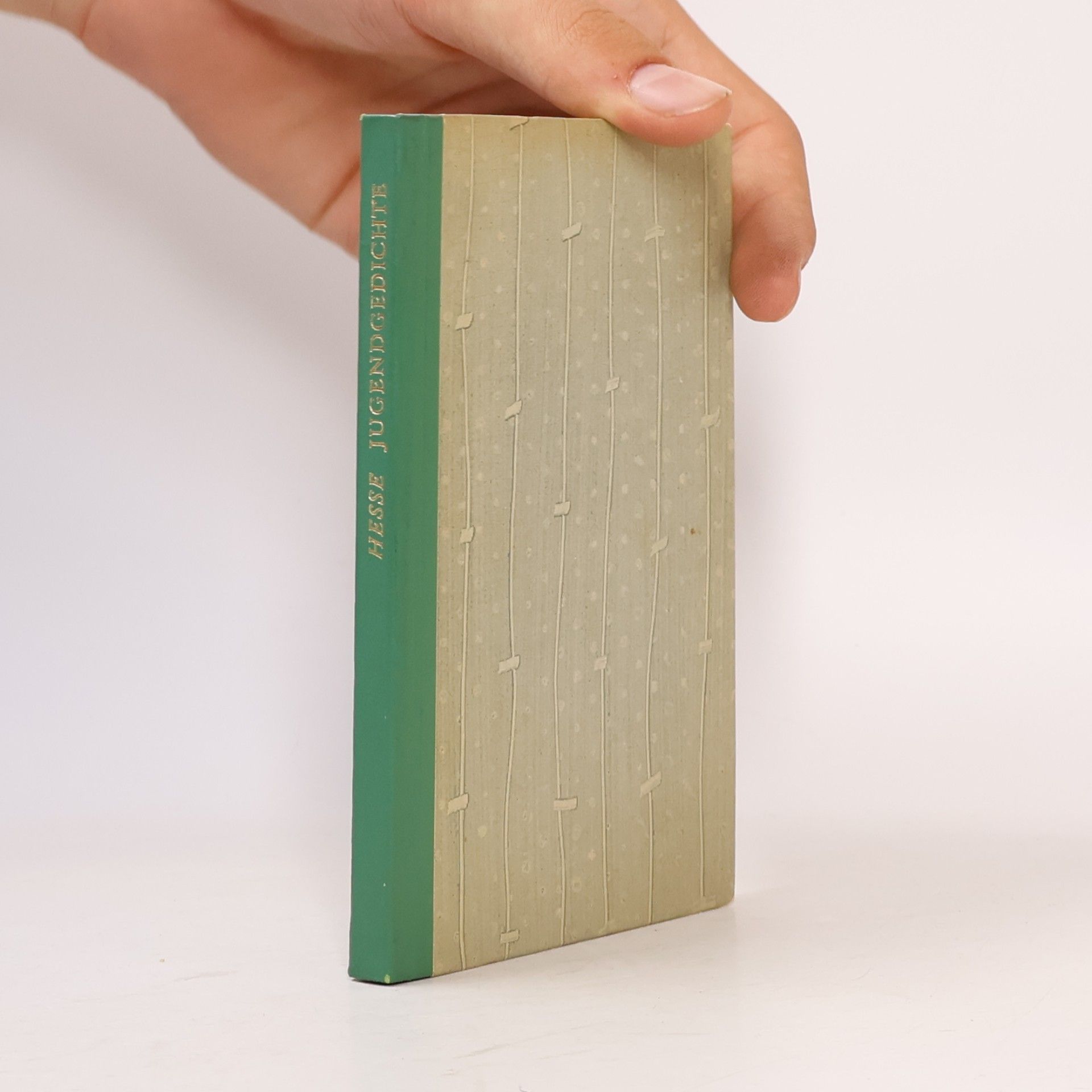 Hermann Hesse Jugendgedichte