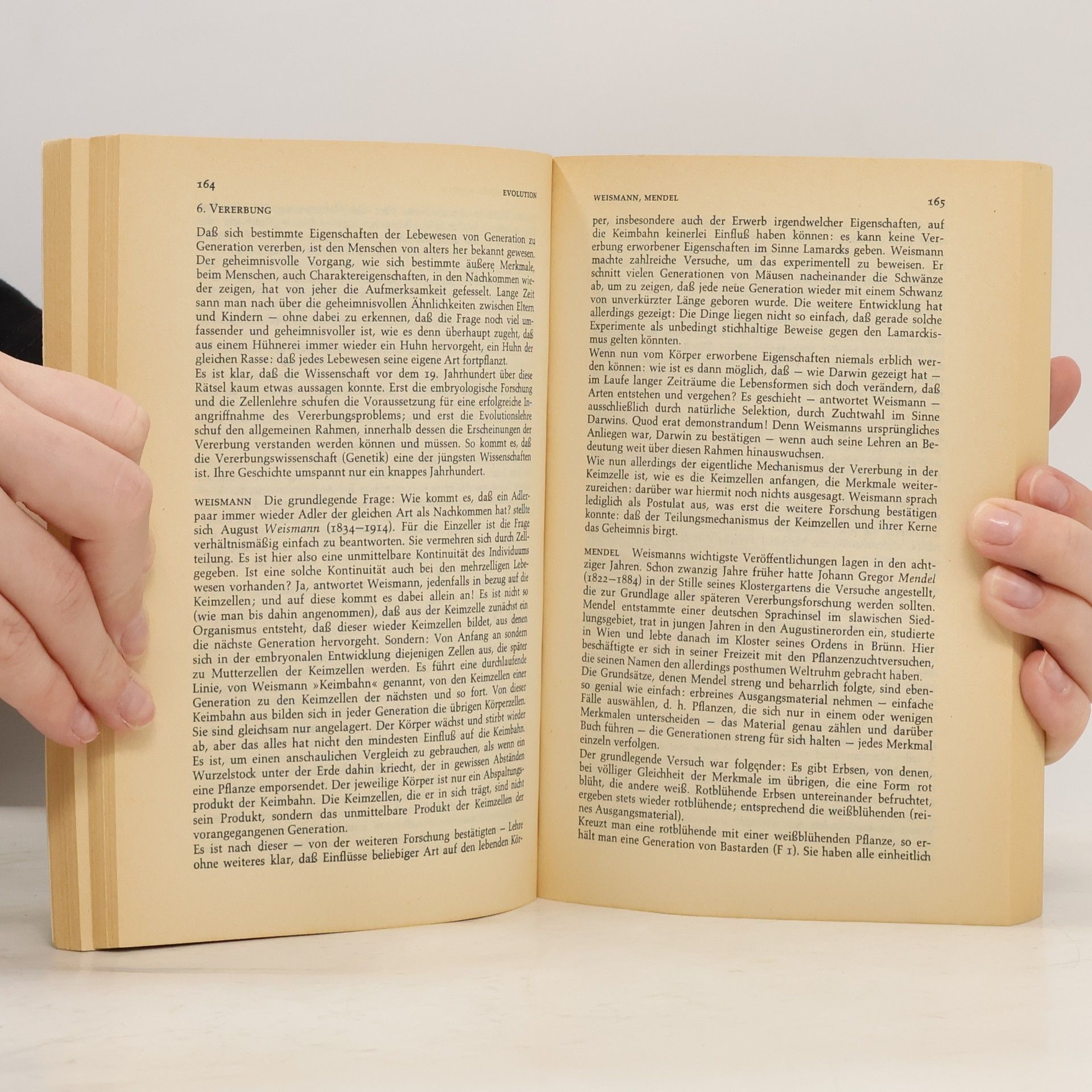 Hans Joachim Störig Kleine Weltgeschichte der Wissenschaft