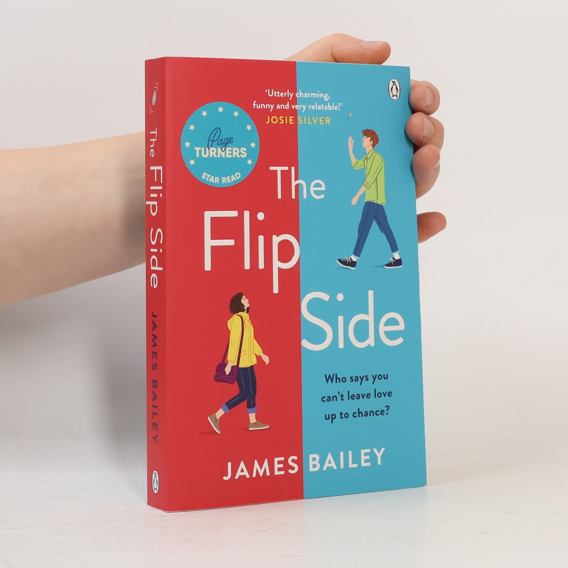 James Bailey The Flip Side