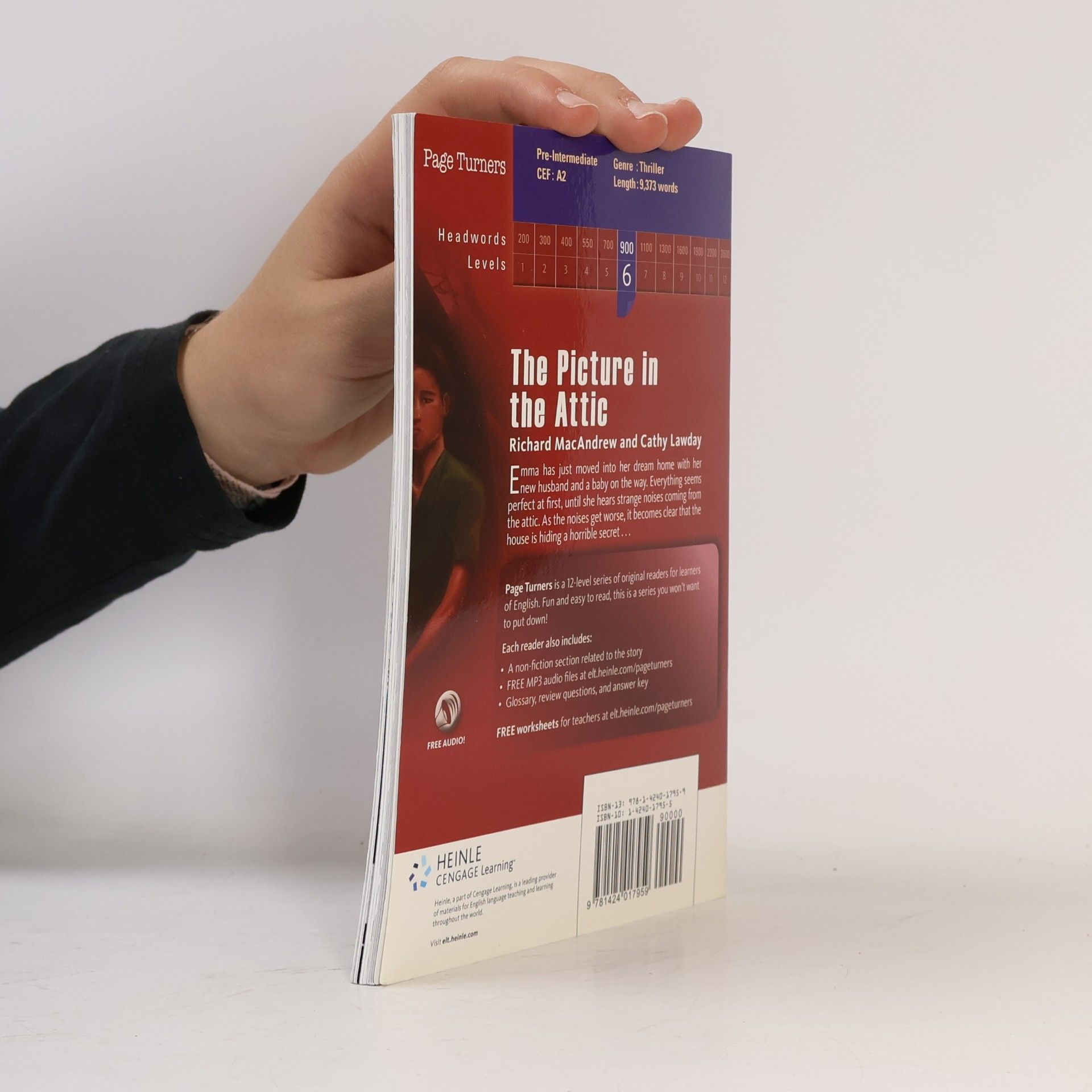 Richard MacAndrew Page Turners - 6: The Picture in the Attic