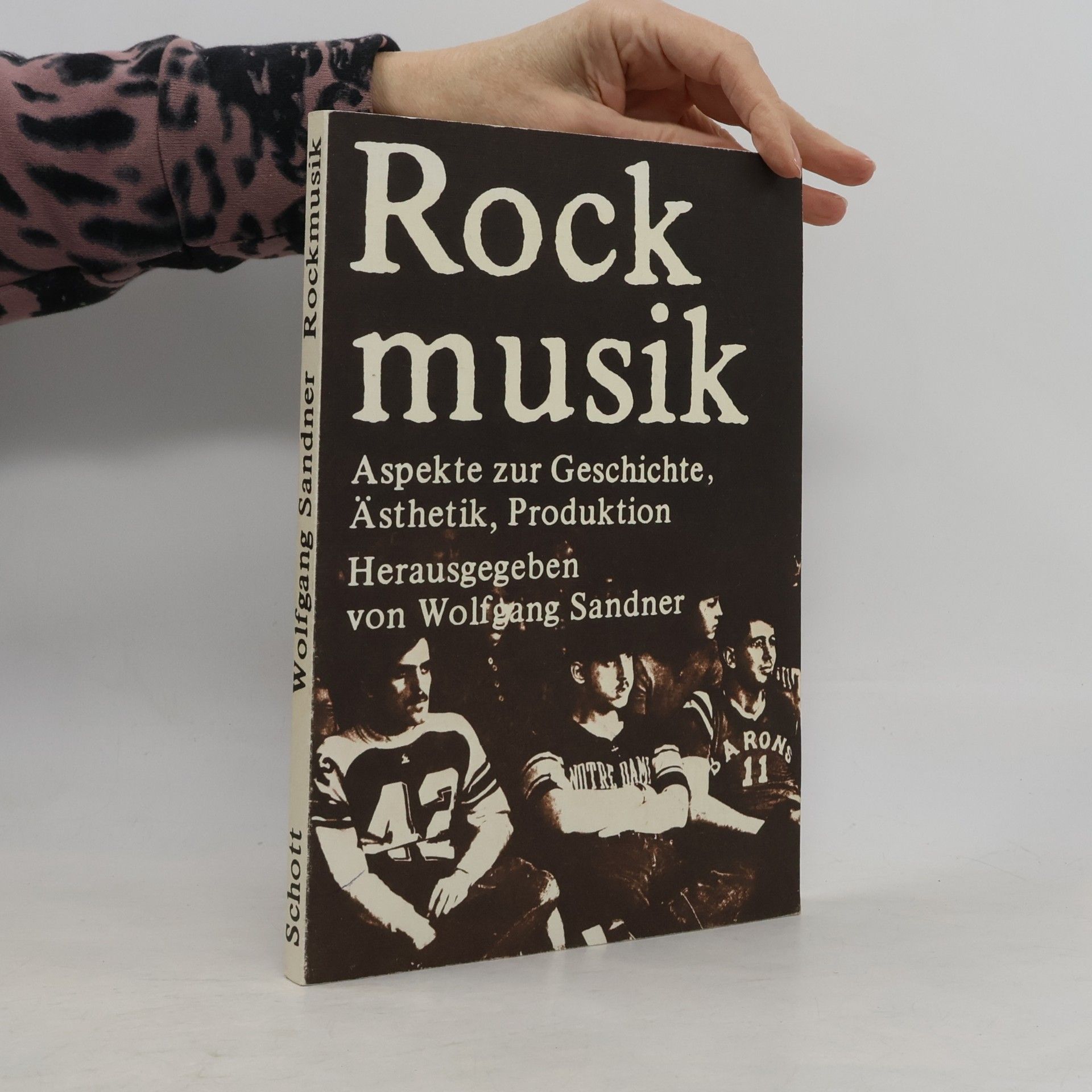 Wolfgang Sander Rockmusik