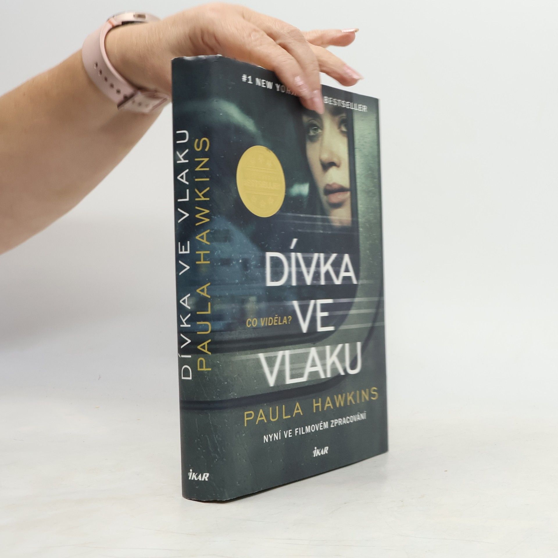 Dívka ve vlaku