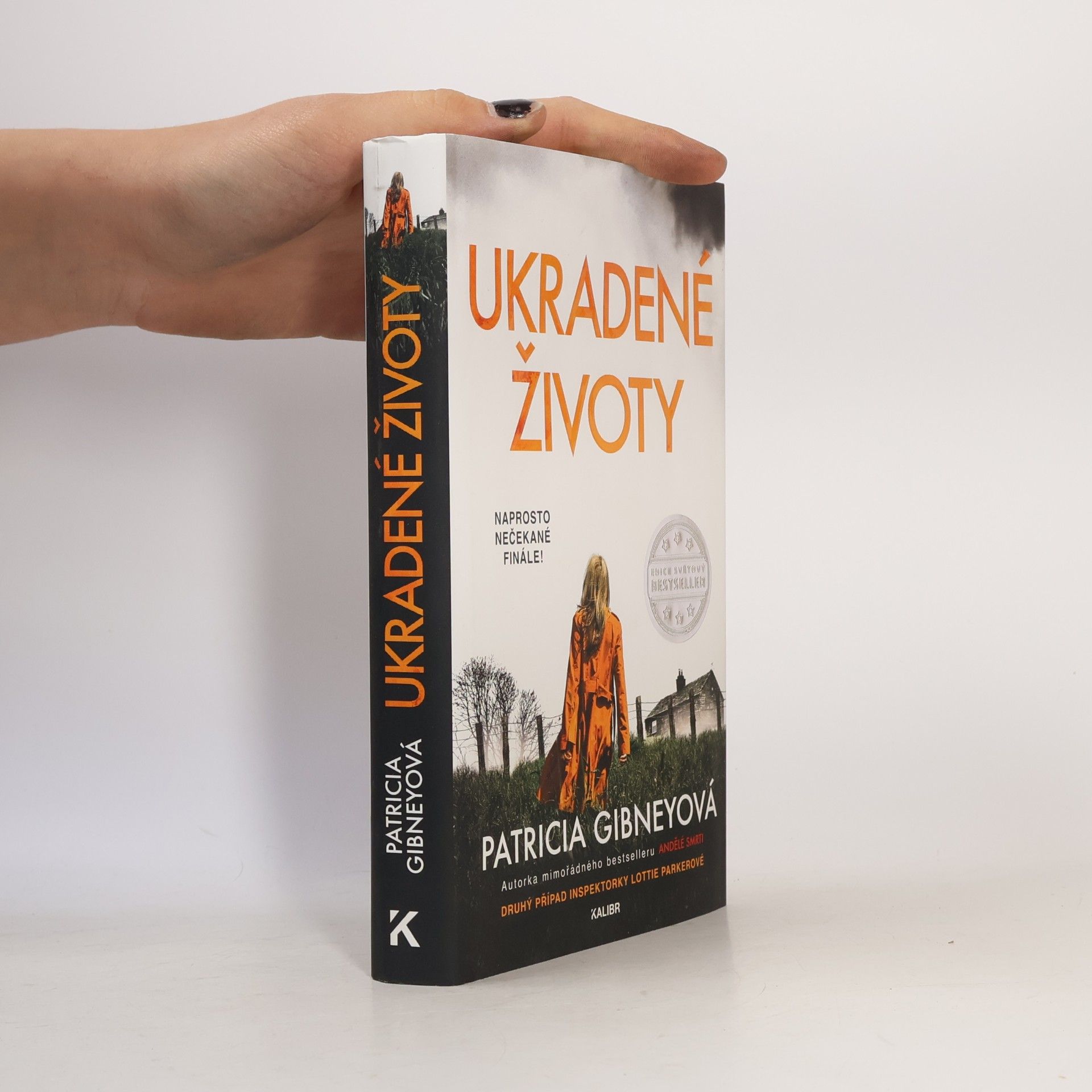 Patricia Gibney Ukradené životy