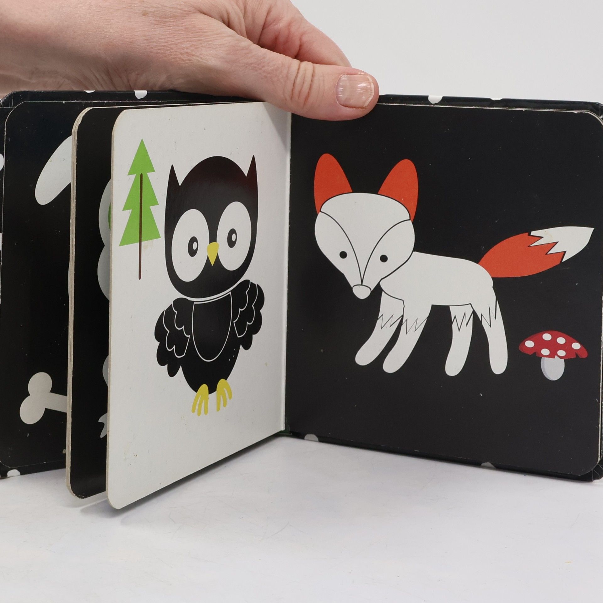 Autorenkollektiv Animals