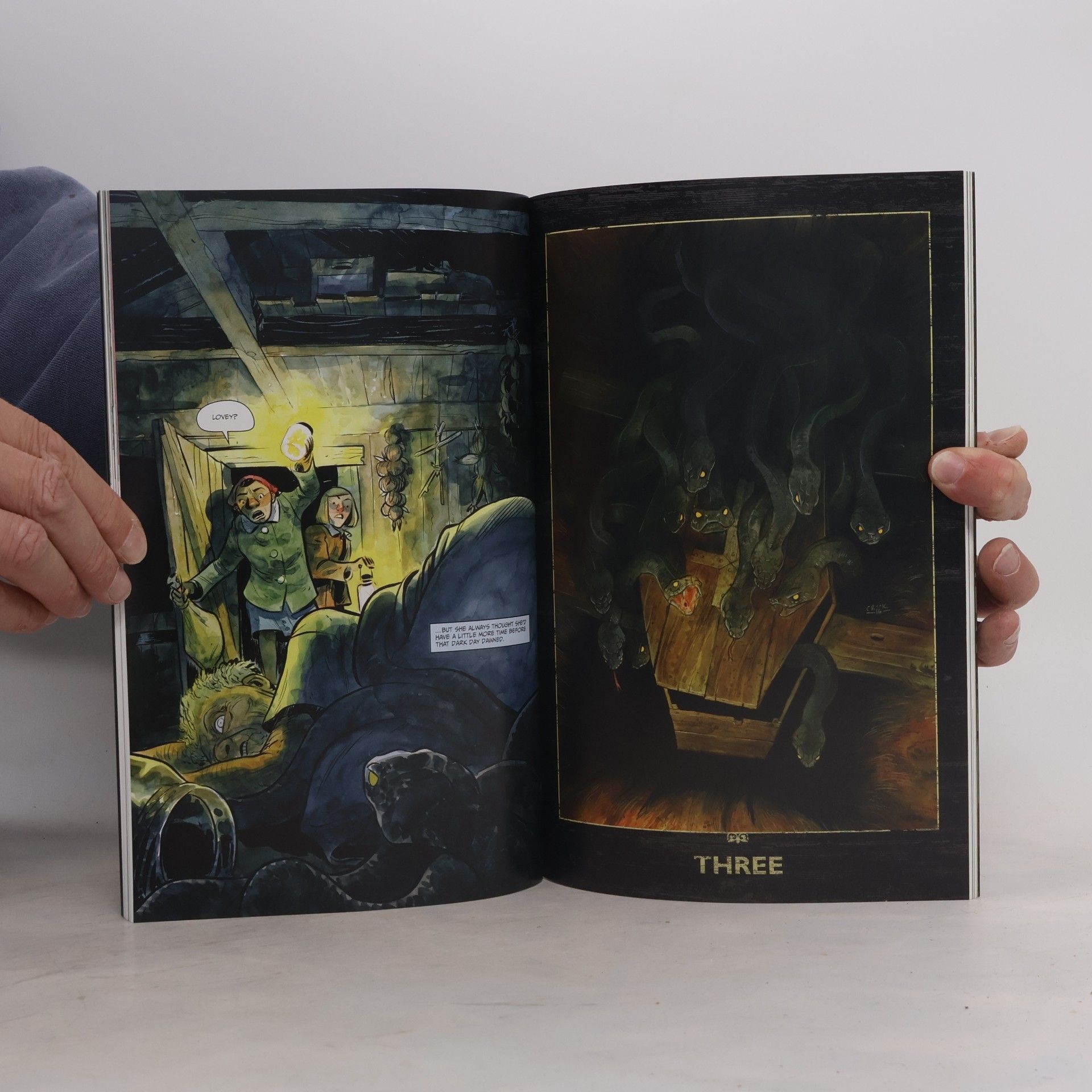Cullen Bunn Harrow County Volume 6