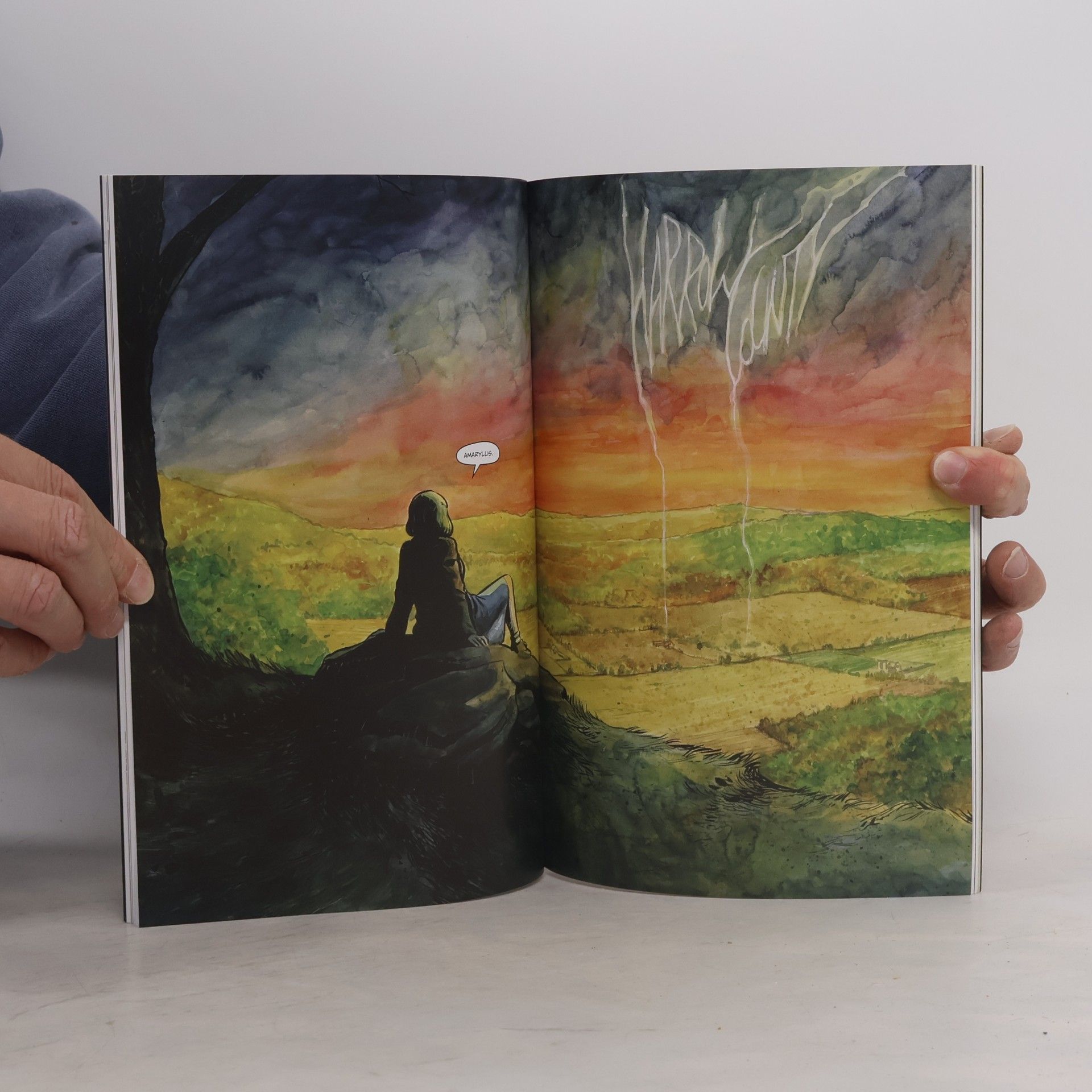 Cullen Bunn Harrow County Volume 5: Abandoned