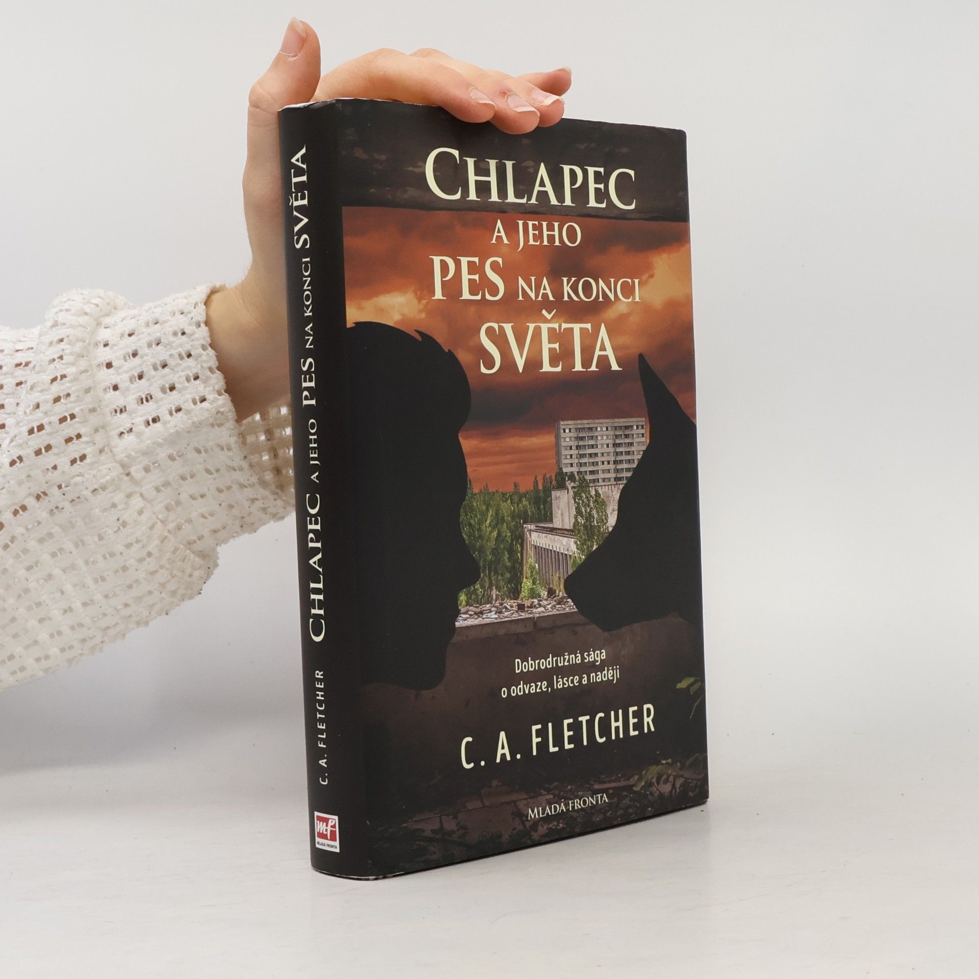 Chlapec a jeho pes na konci světa