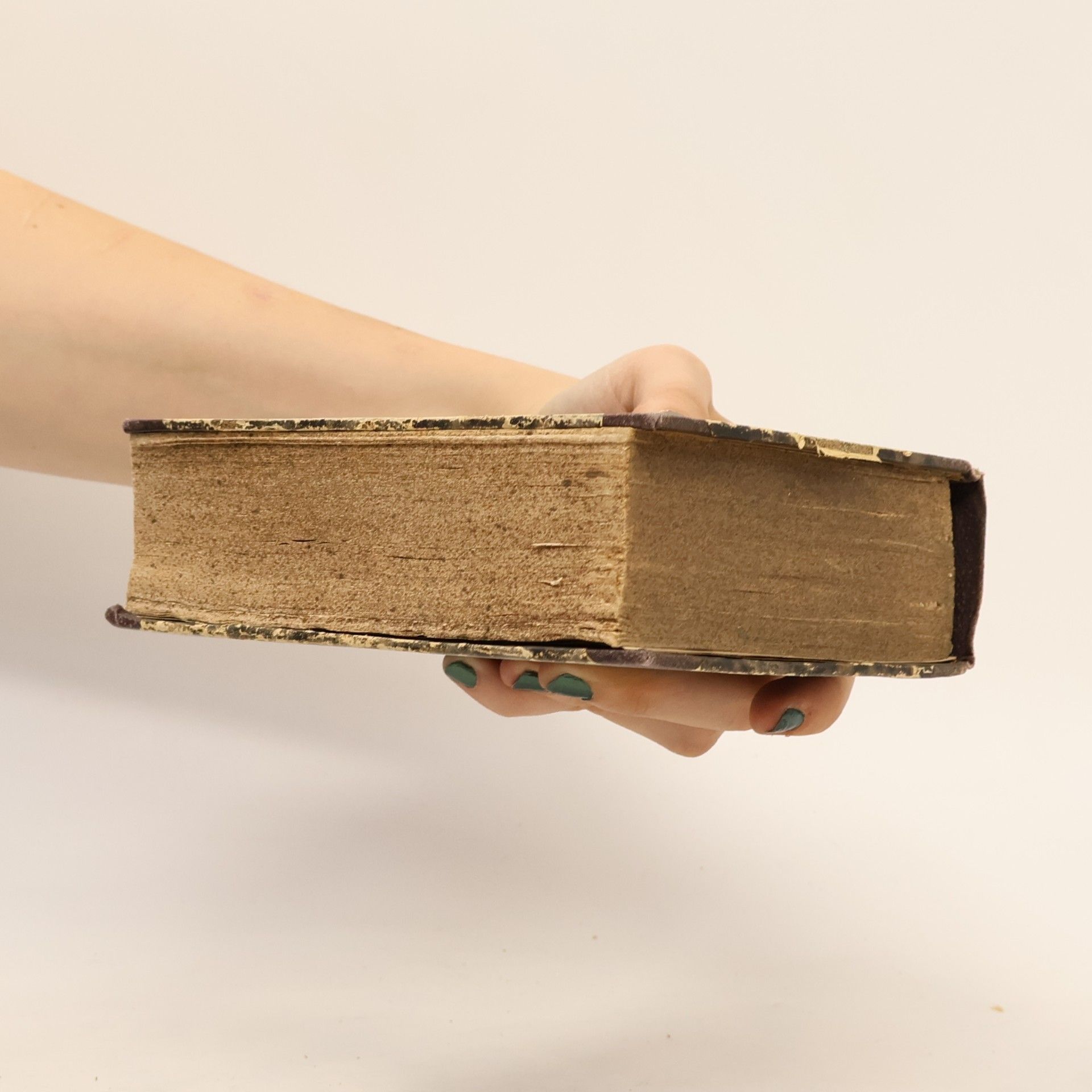 Scavini Theologia Moralis