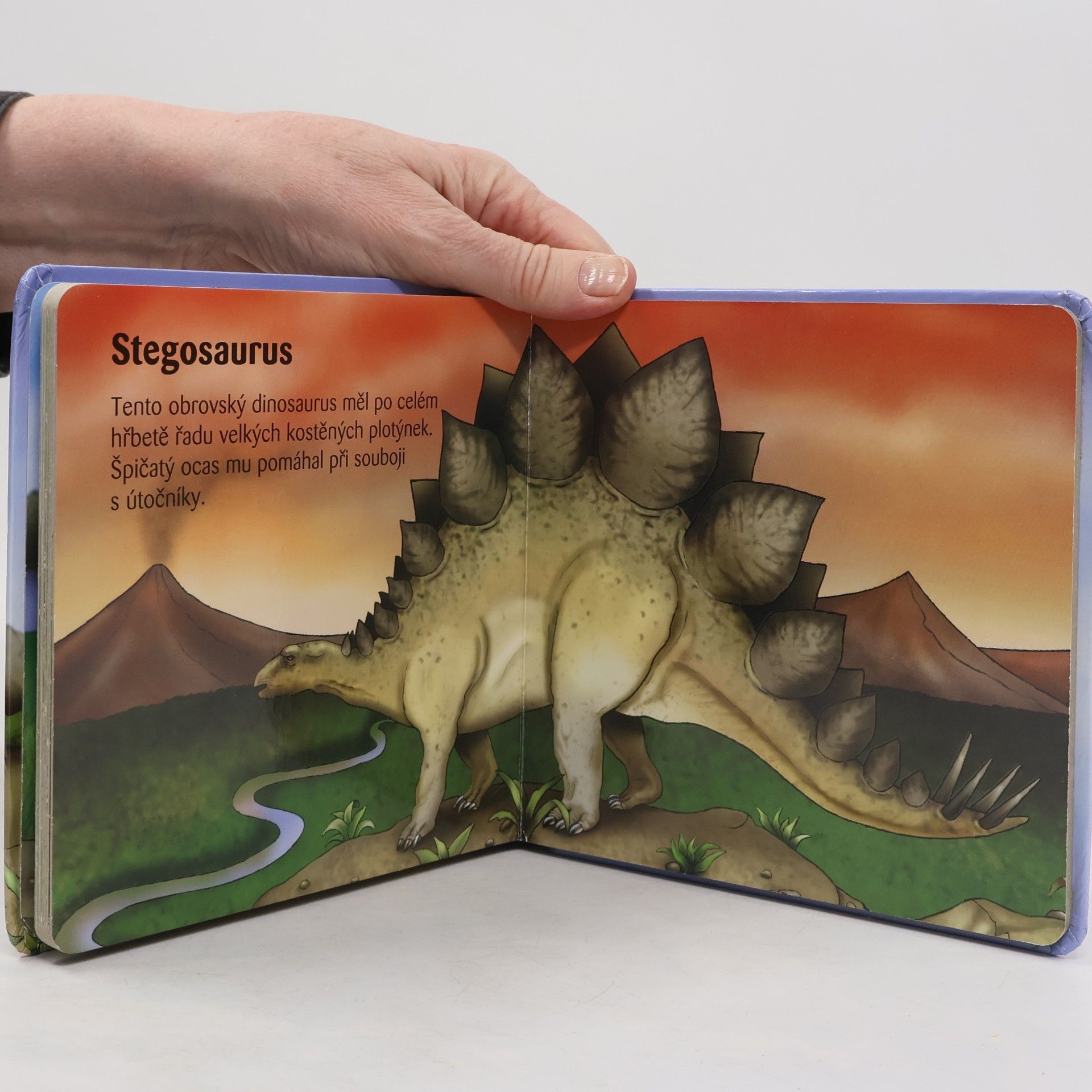 Tomáš Novotný Moje malá knížka o dinosaurech