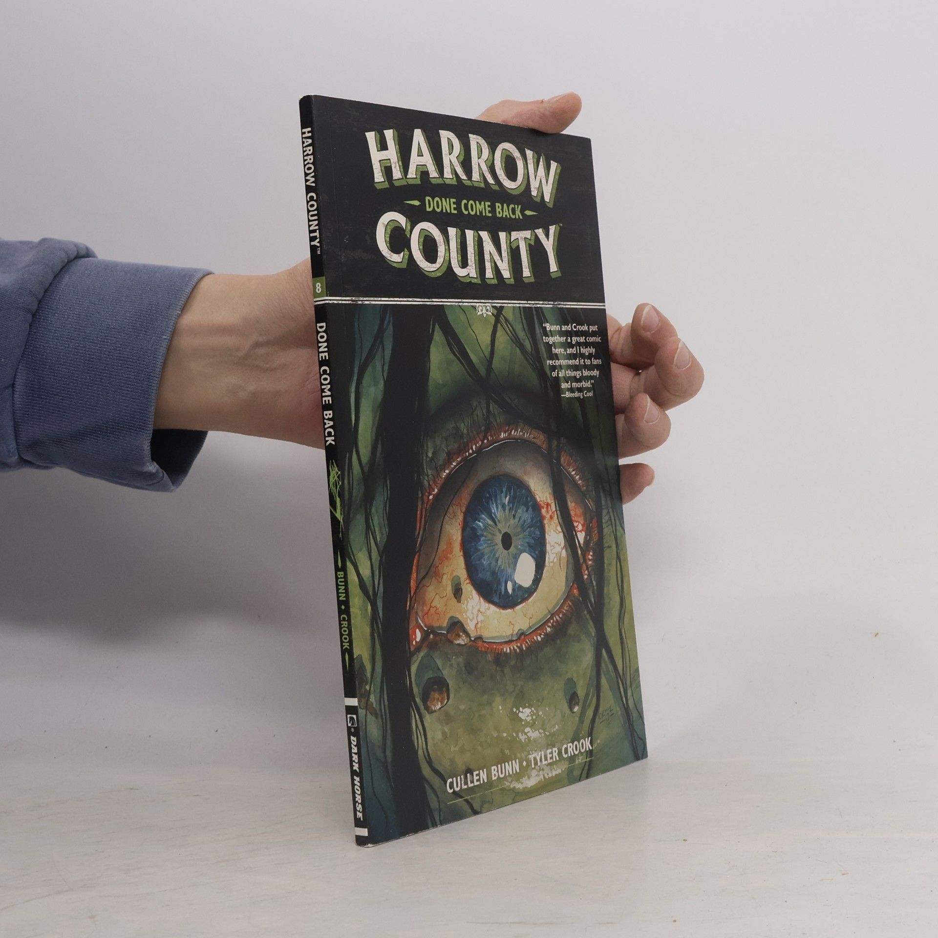 Tyler Crook Harrow County - 8: Done Come Back