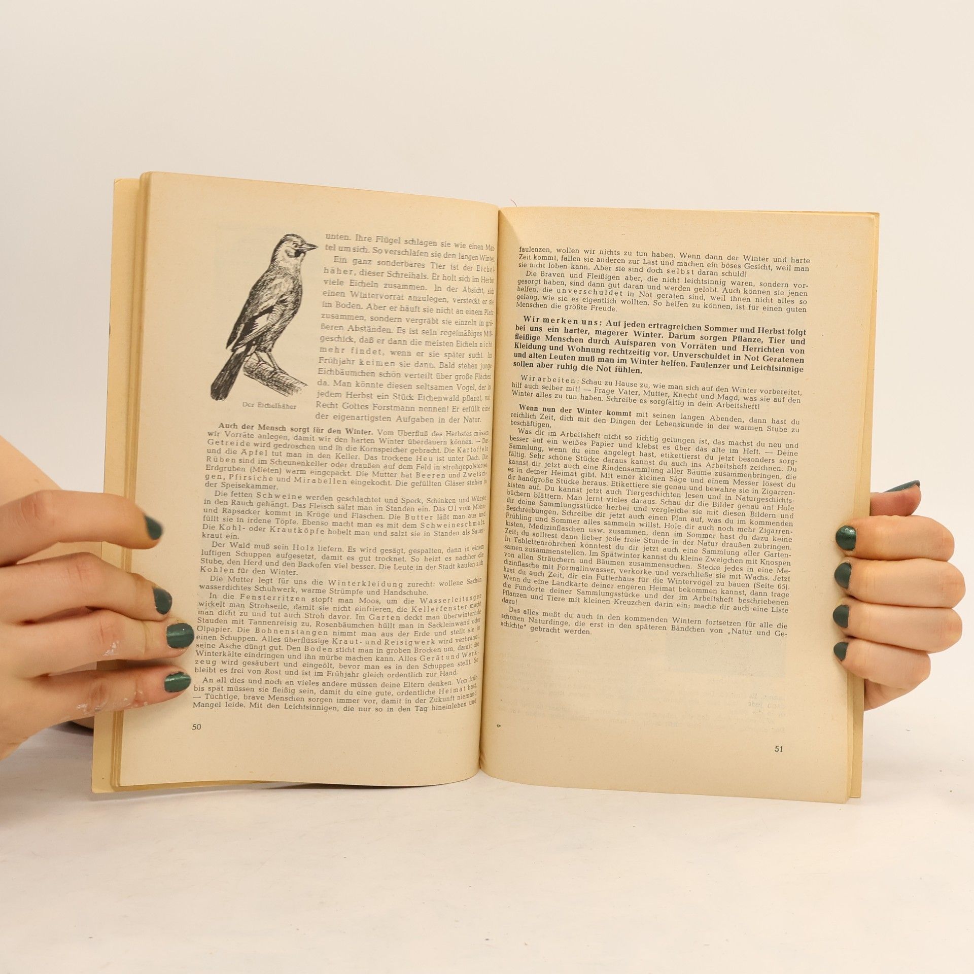 Autorenkollektiv Natur und Geschichte