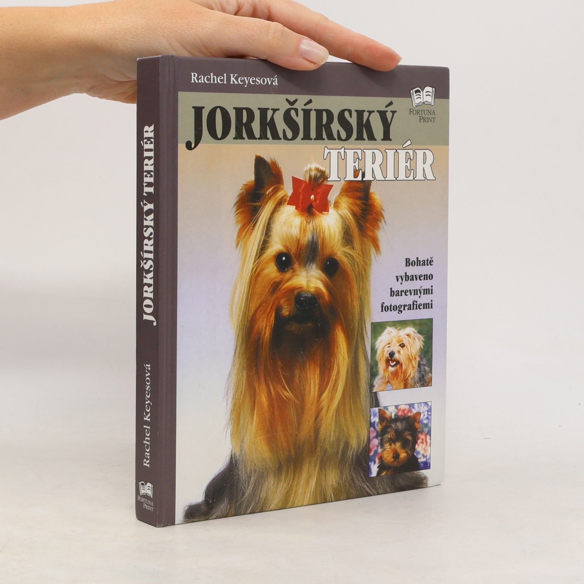 Rachel Keyes Jorkšírský teriér