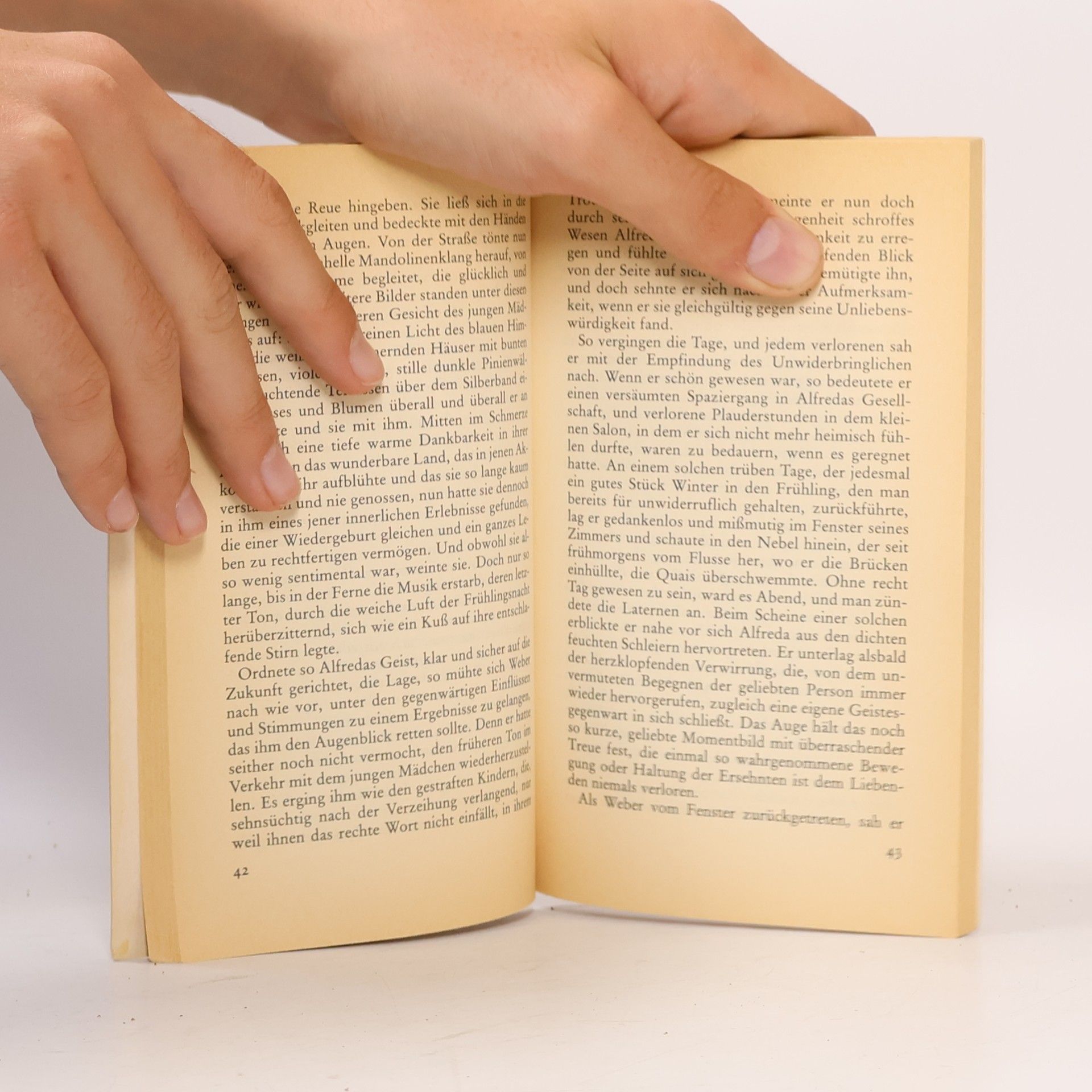 Heinrich Mann Eine wohltätige Frau. 6 Novellen