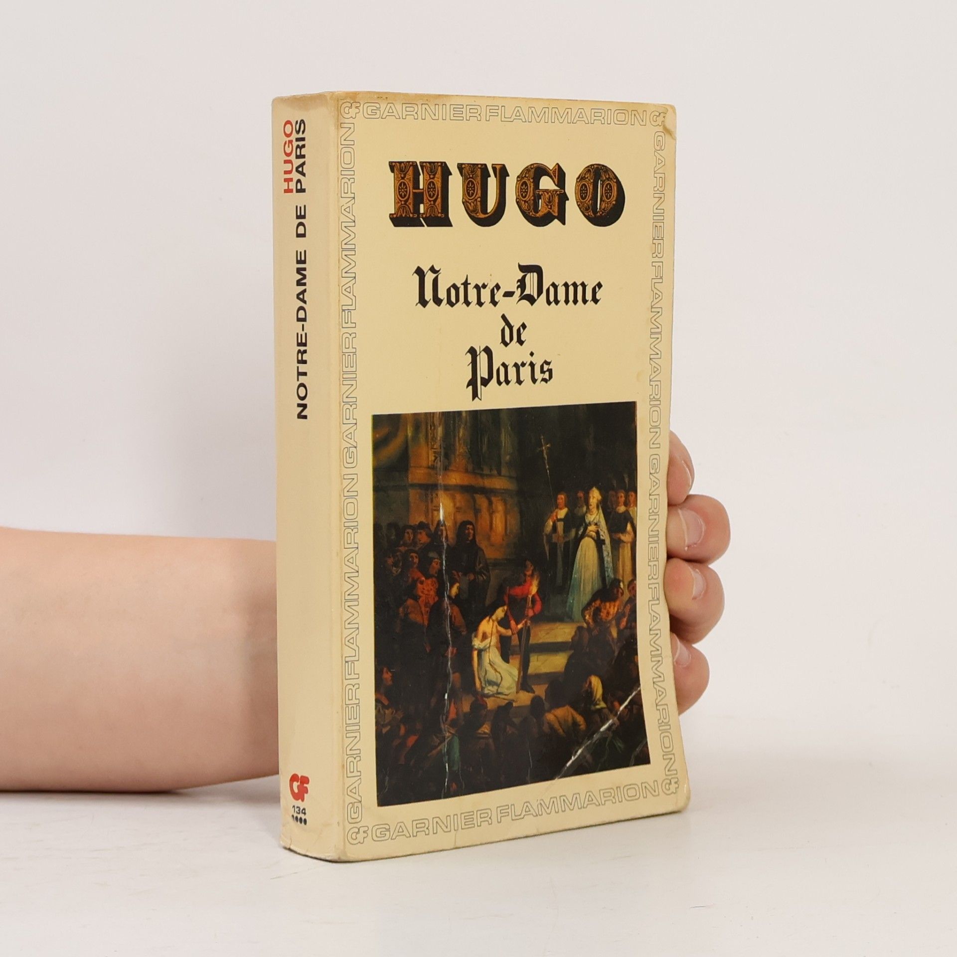 Hugo Notre-Dame de Paris