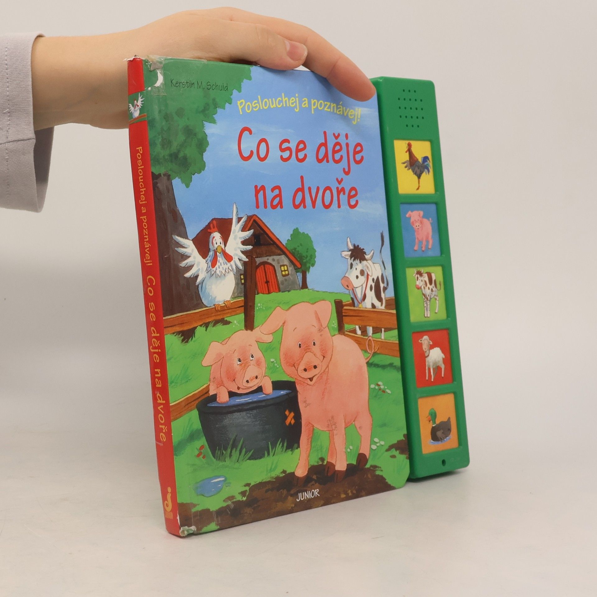 Kerstin M. Schuld Co se děje na dvoře