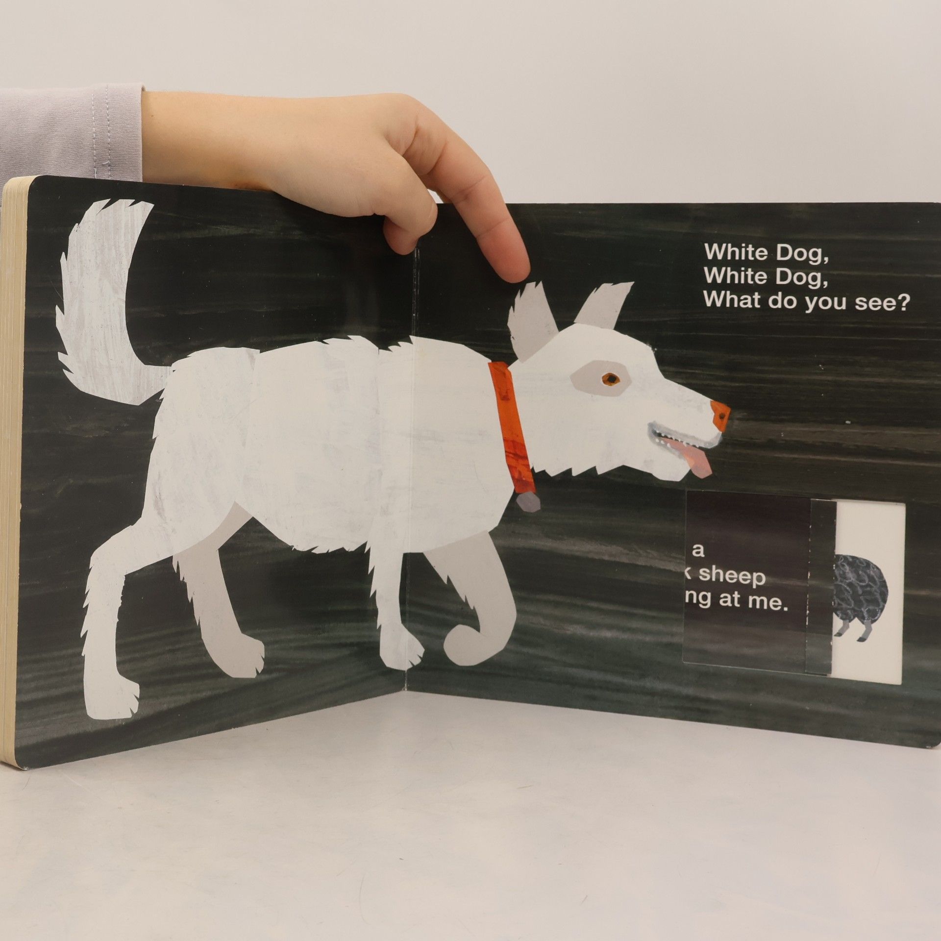 Eric Carle Brown Bear, Brown Bear, What Do You See?