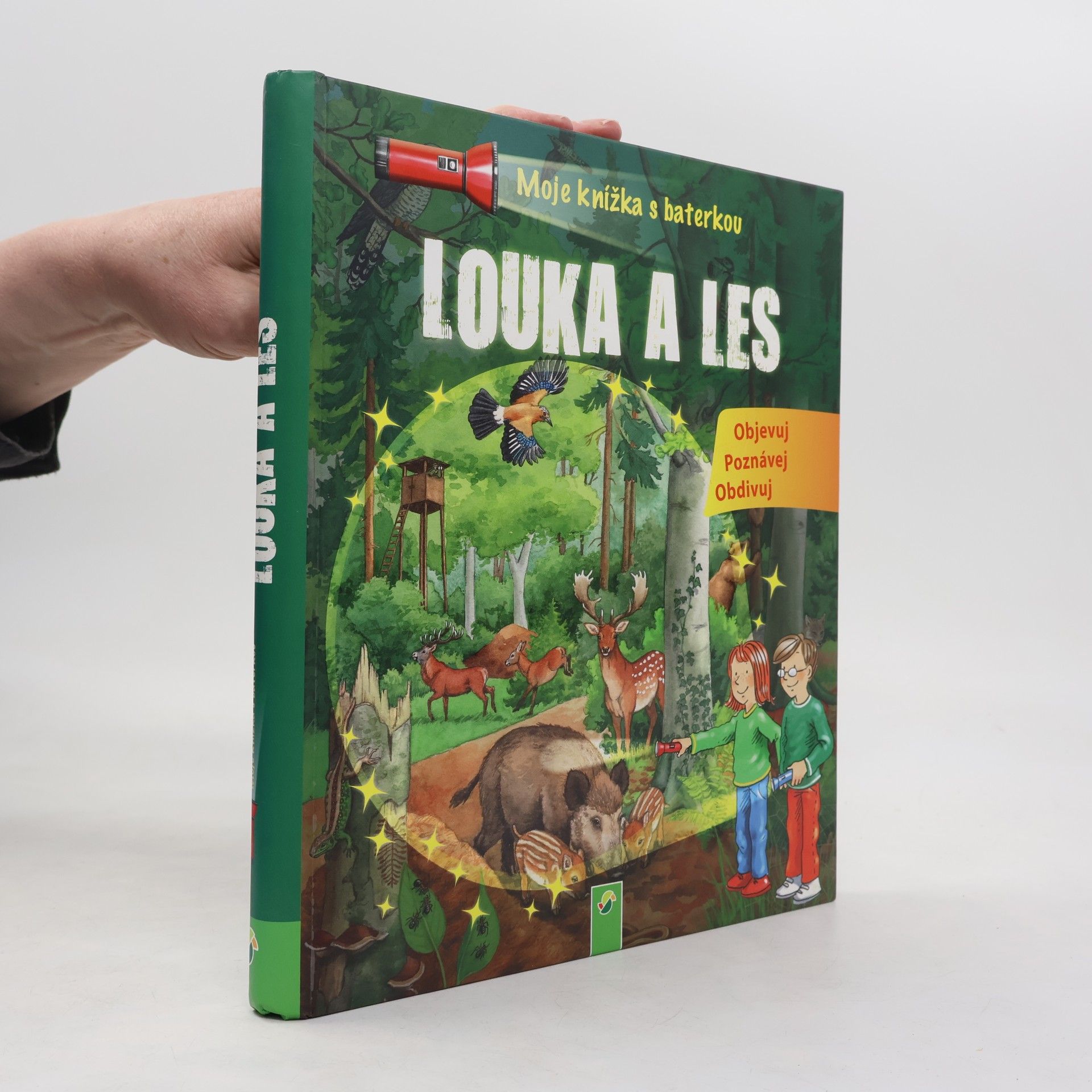 Louka a les