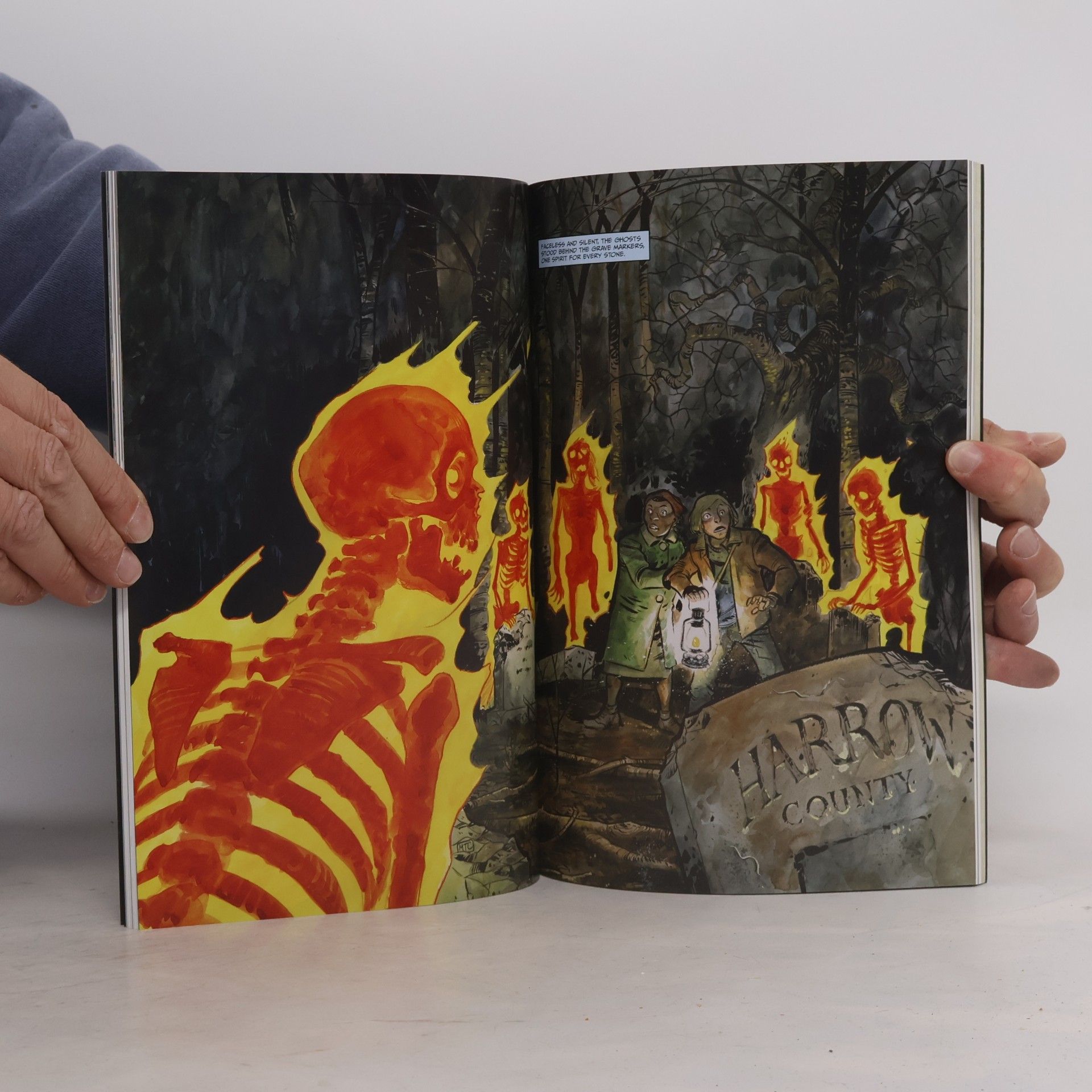 Cullen Bunn Harrow County Volume 1: Countless Haints
