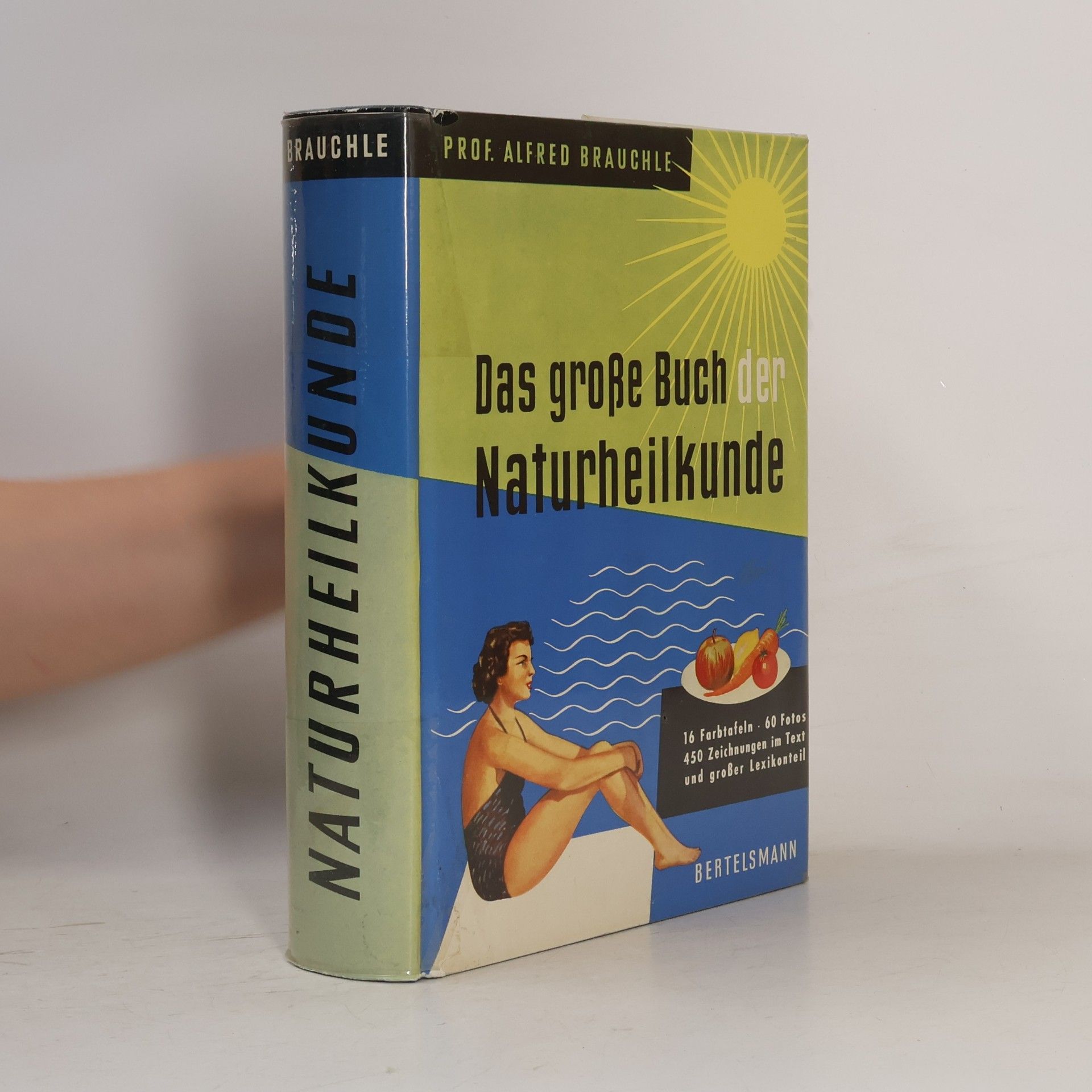 Alfred Brauchle Das große Buch den Naturheilkunde