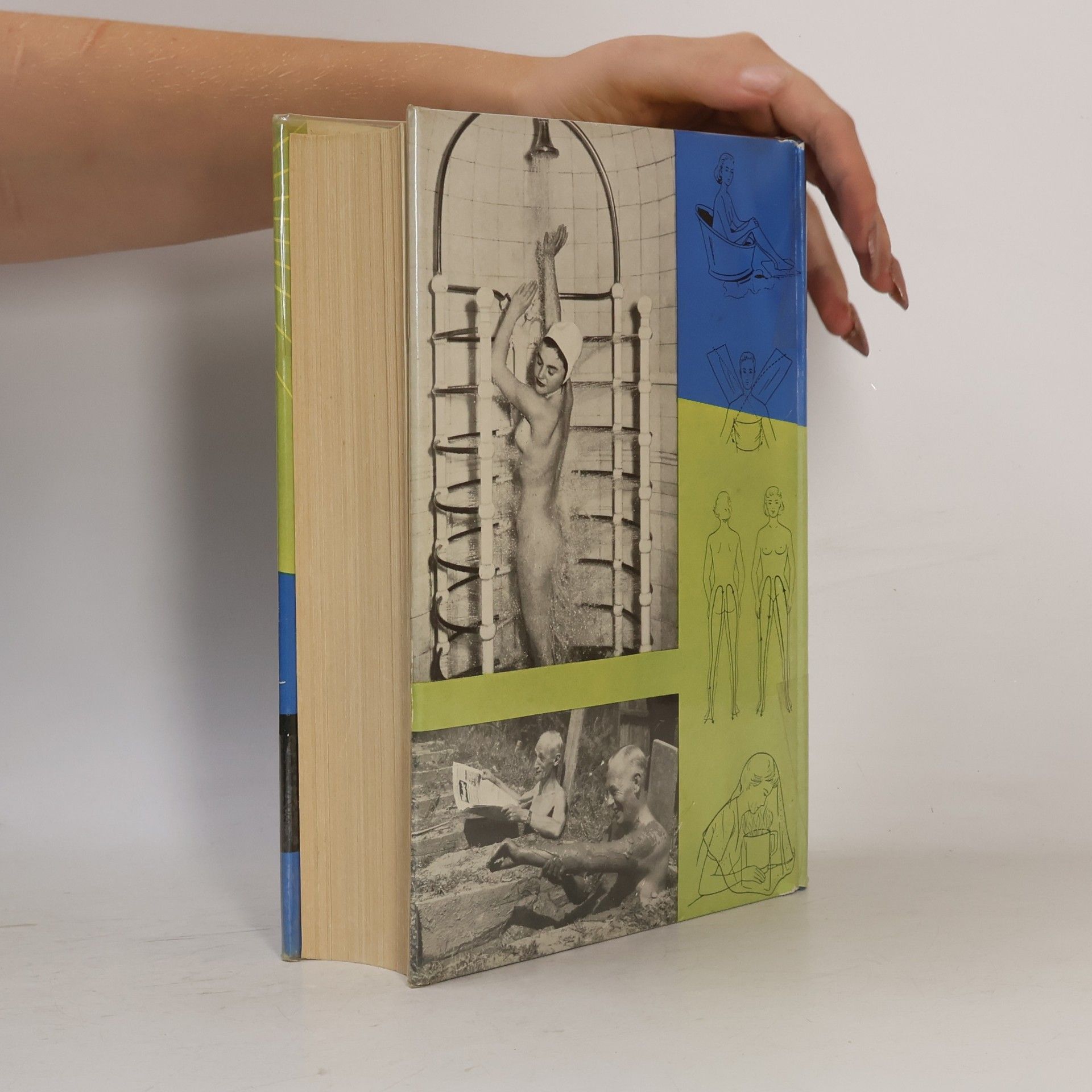 Alfred Brauchle Das große Buch den Naturheilkunde