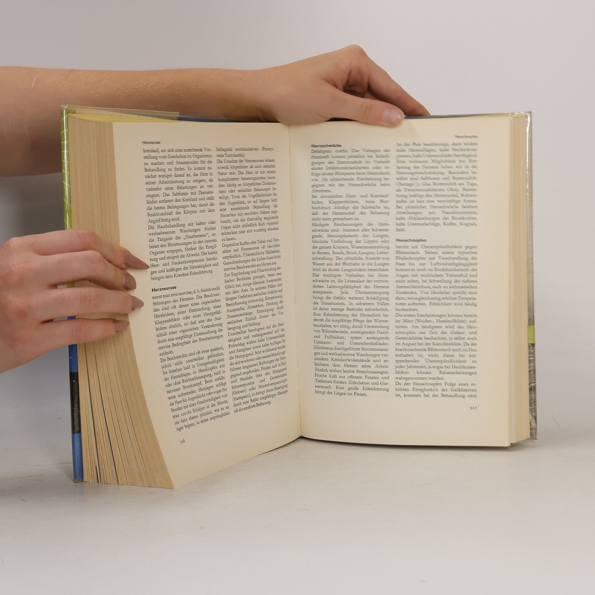 Alfred Brauchle Das große Buch den Naturheilkunde