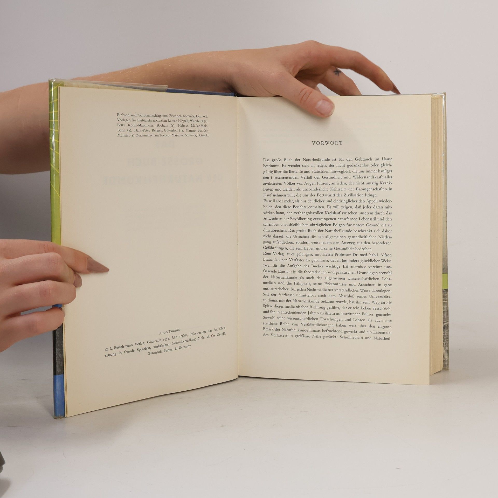 Alfred Brauchle Das große Buch den Naturheilkunde
