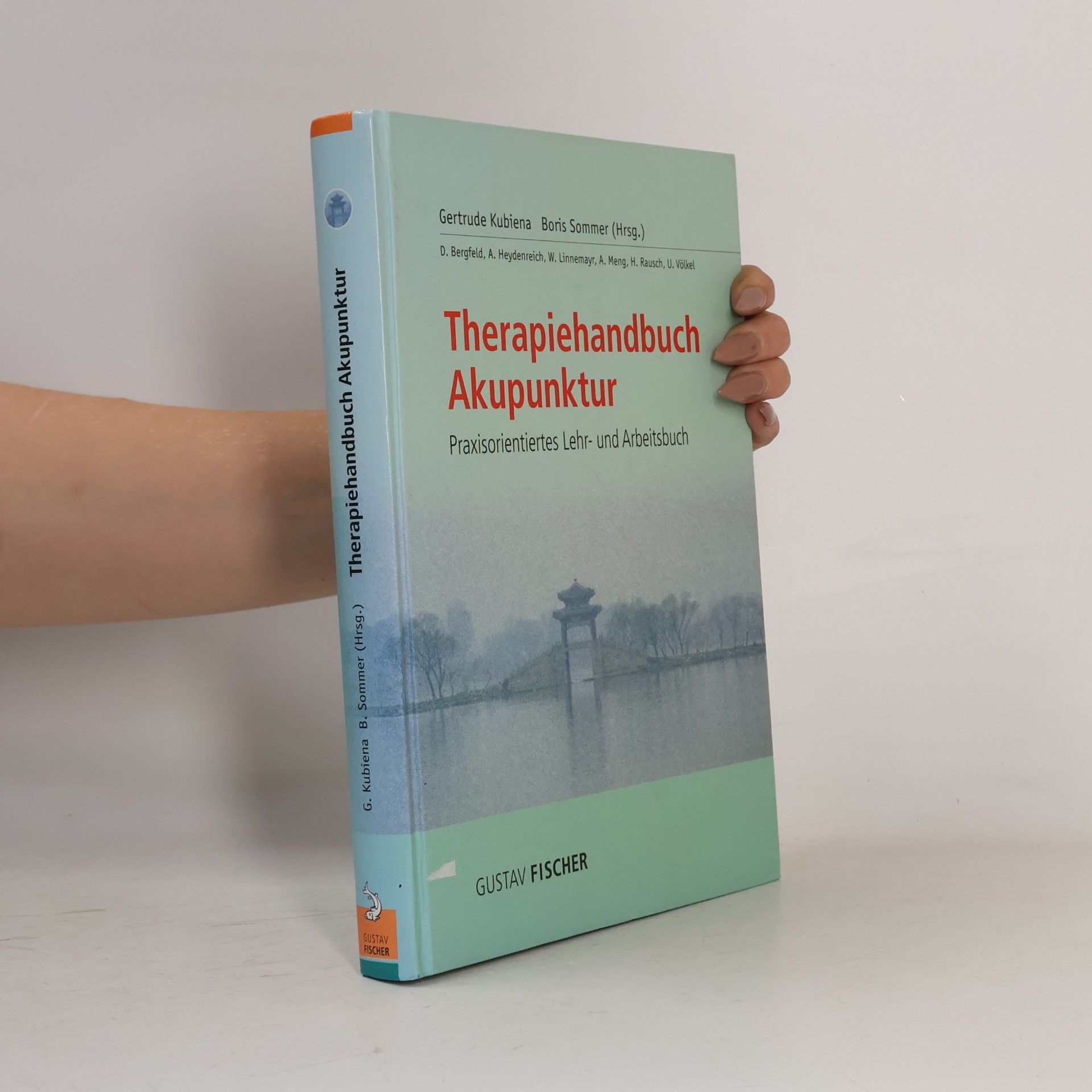 Therapiehandbuch Akupunktur