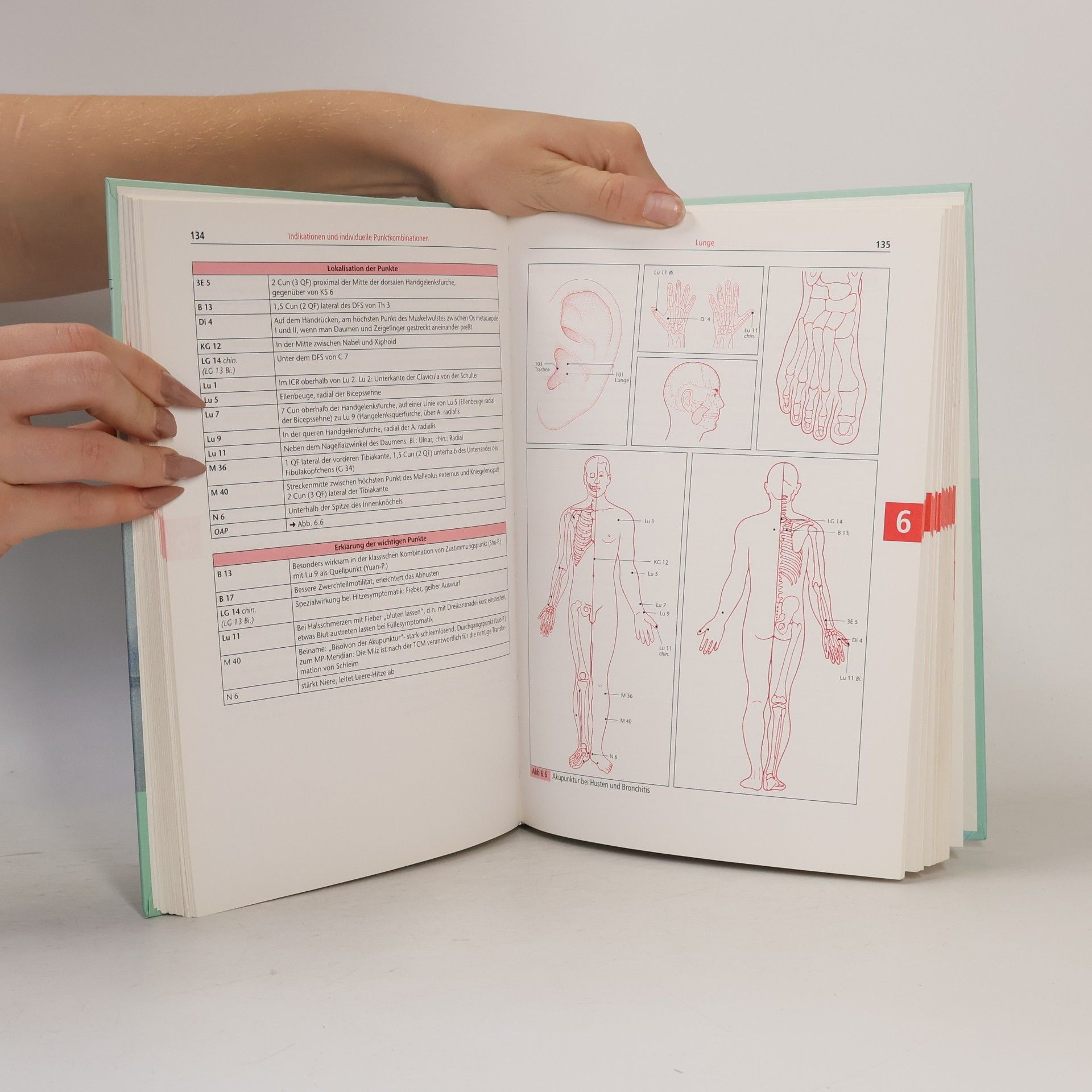 Gertrude Kubiena Therapiehandbuch Akupunktur