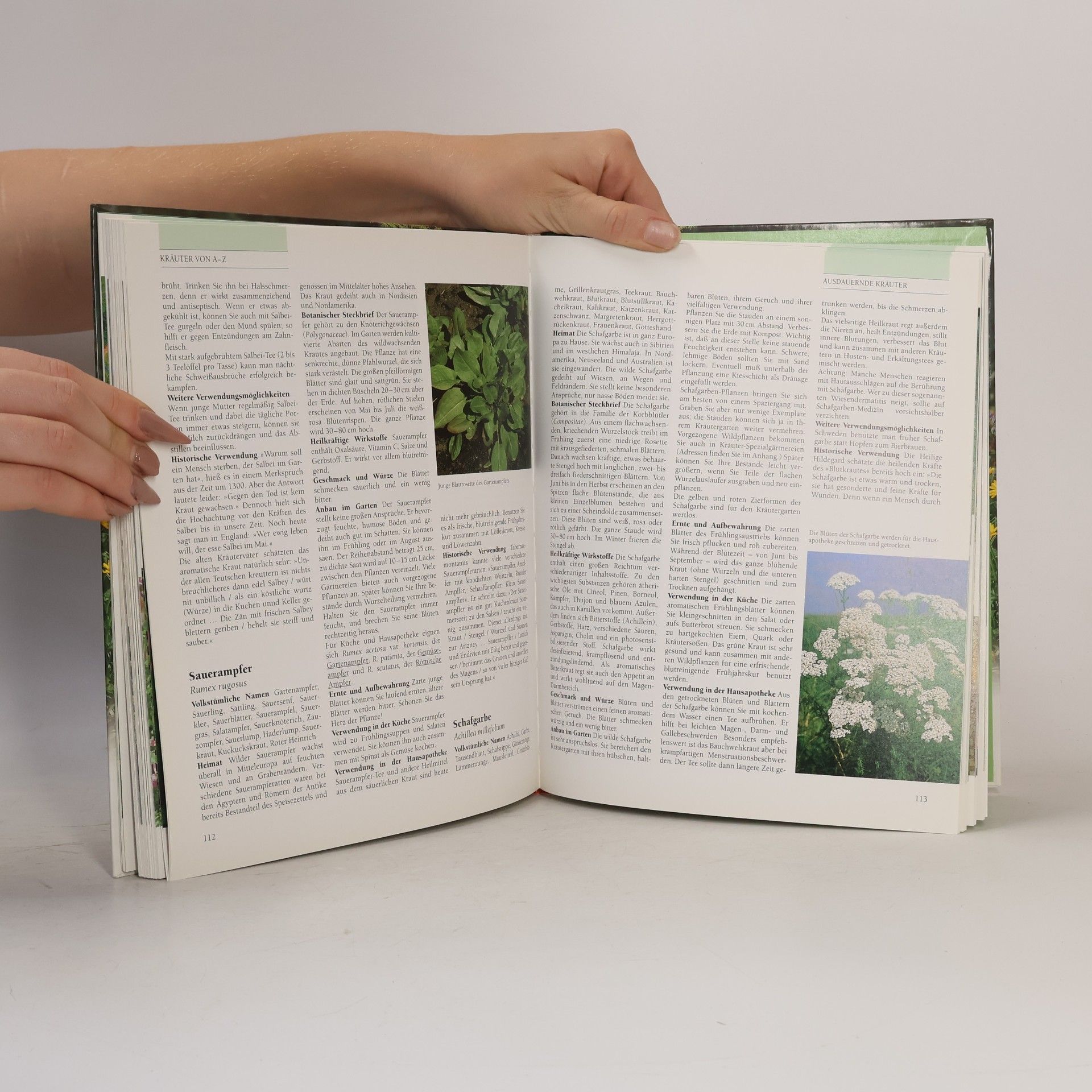 Marie-Luise Kreuter Kräuter & Gewürze aus dem eigenen Garten