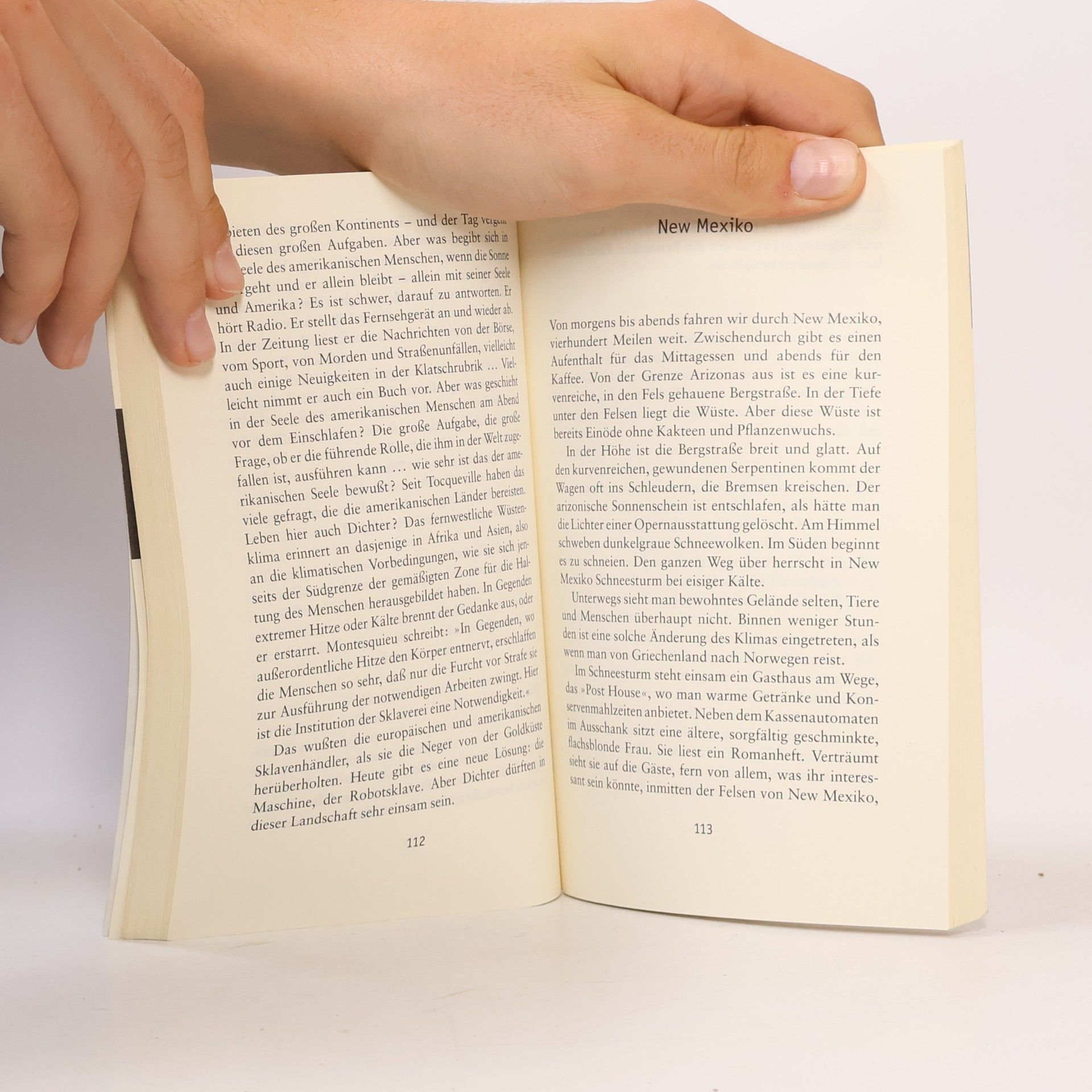 Sándor Márai Der Wind kommt vom Westen