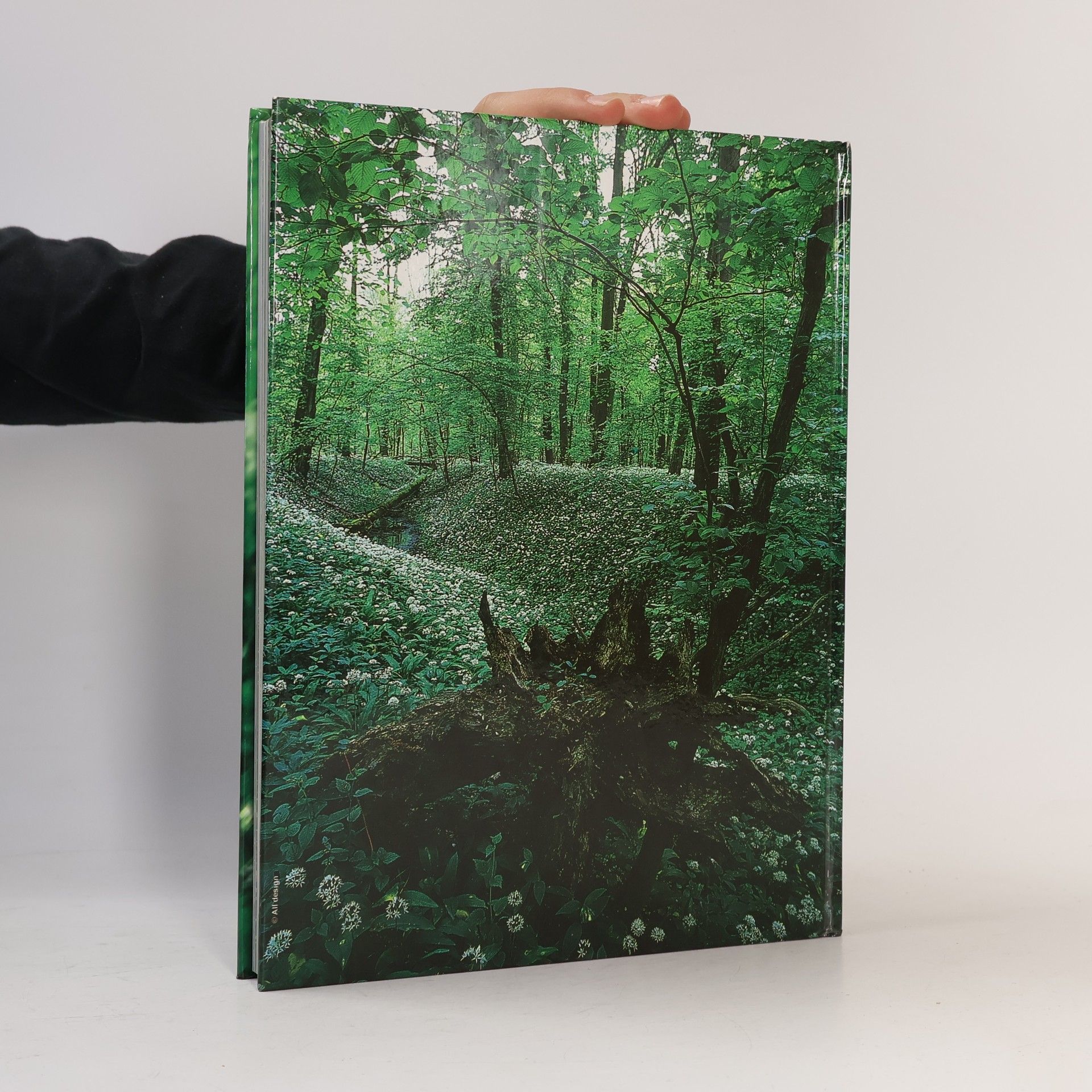 Věra Koutecká Příroda Ostravy : Ostrava's natural environment : Die Natur von Ostrava